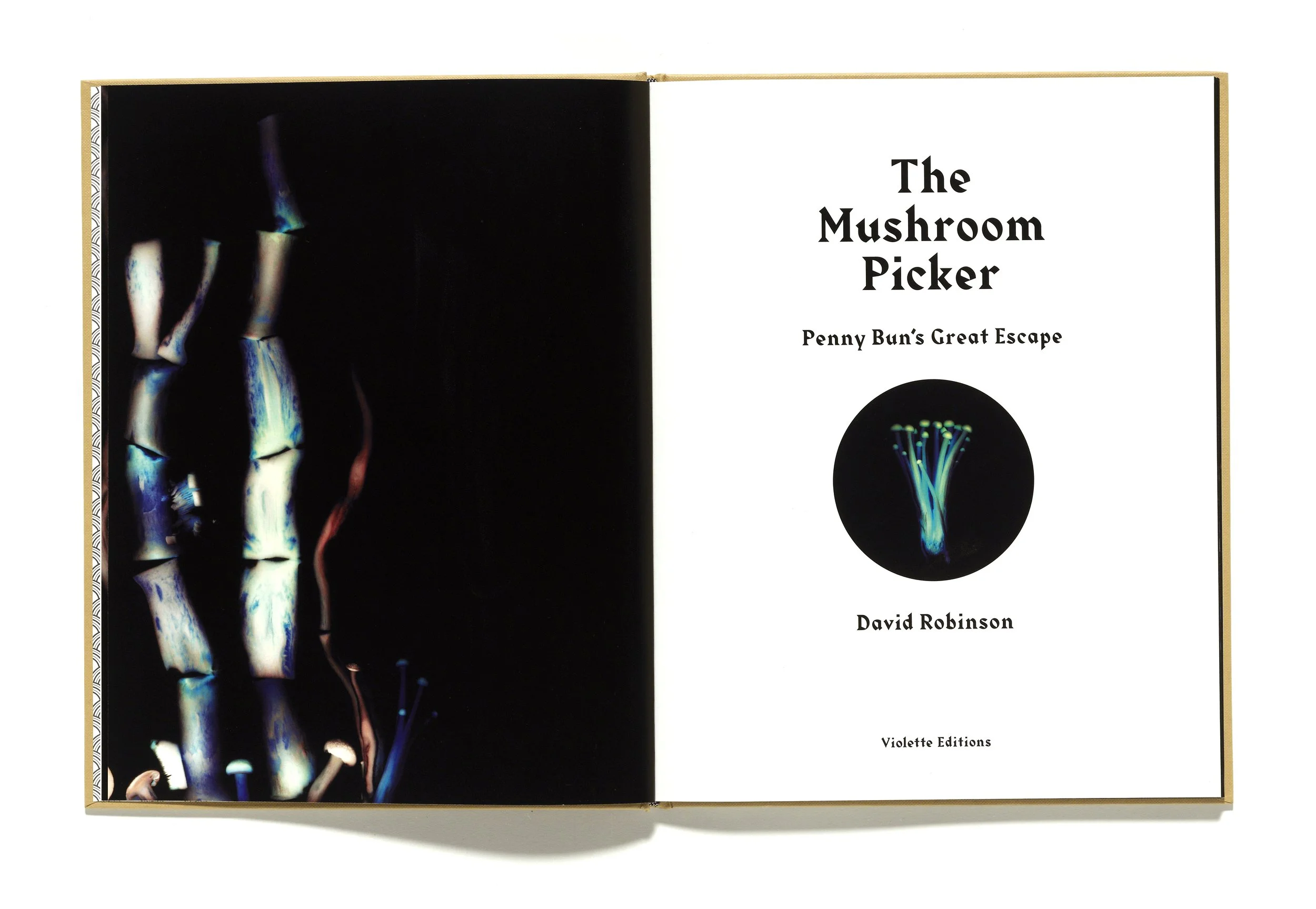 The Mushroom Picker by David Robinson published by Violette Editions3.JPG