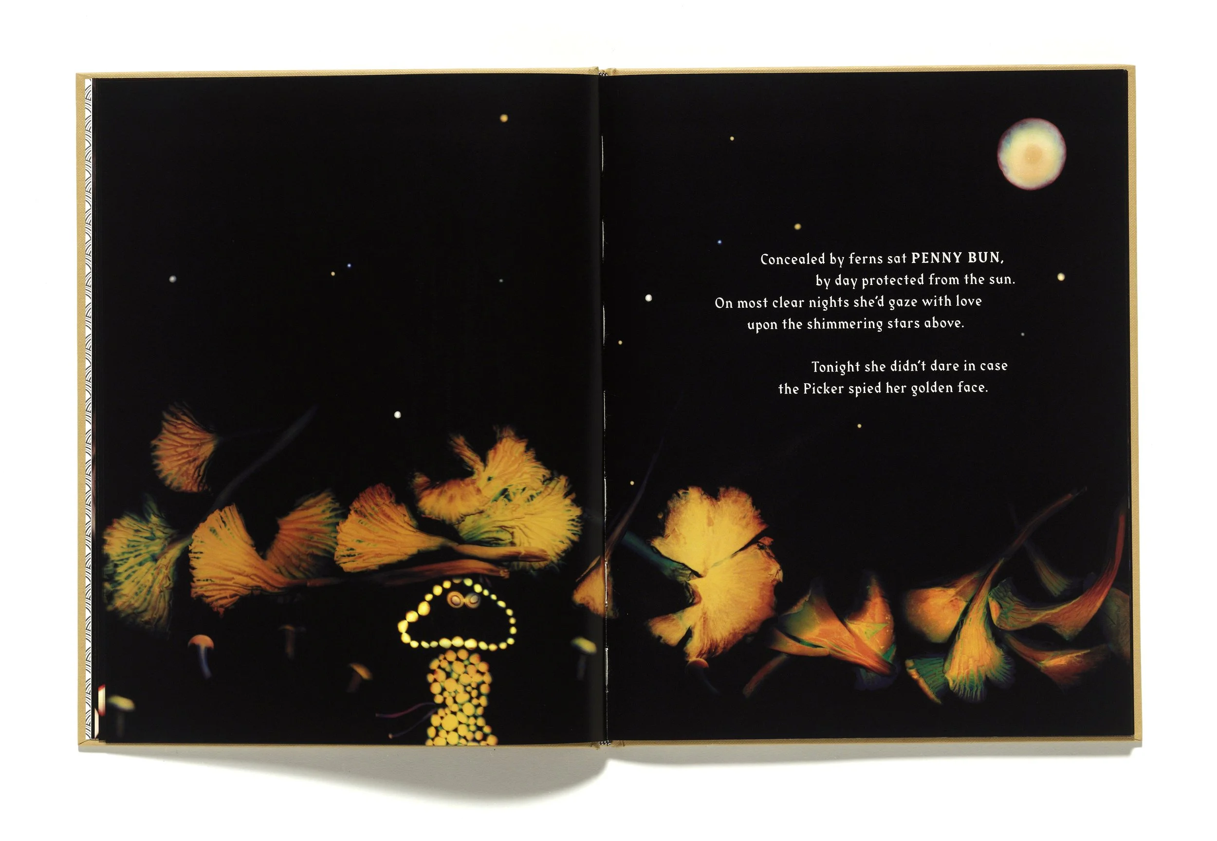 The Mushroom Picker by David Robinson published by Violette Editions5.JPG