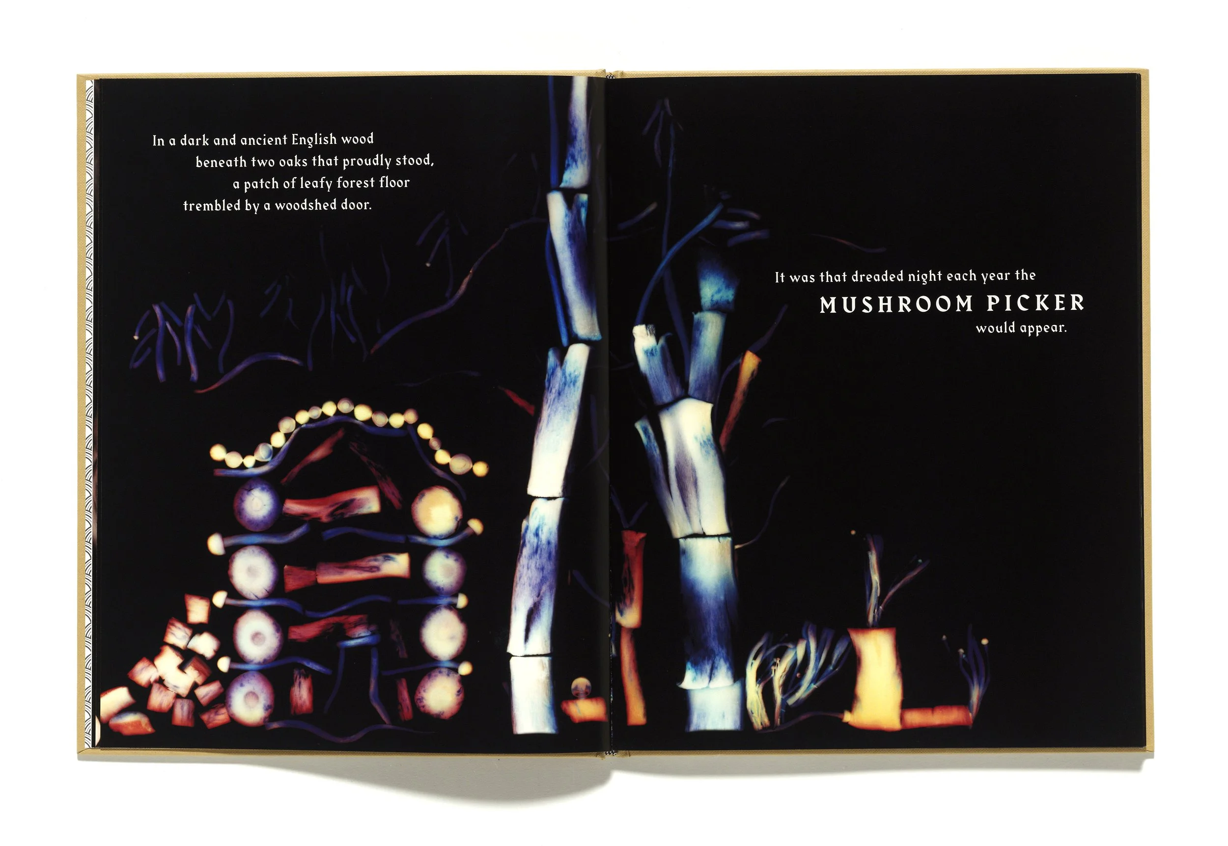 The Mushroom Picker by David Robinson published by Violette Editions4.JPG