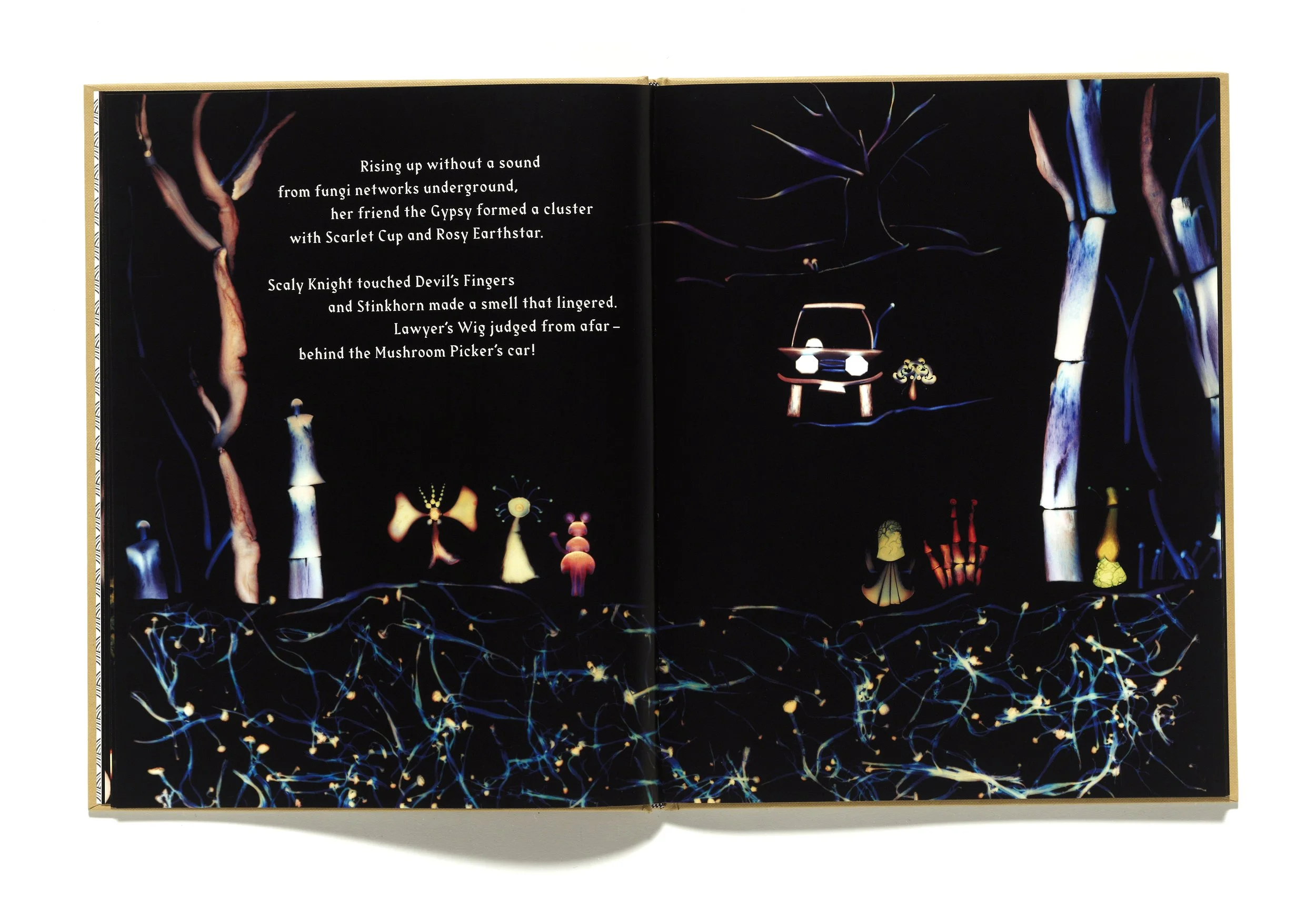 The Mushroom Picker by David Robinson published by Violette Editions6.JPG