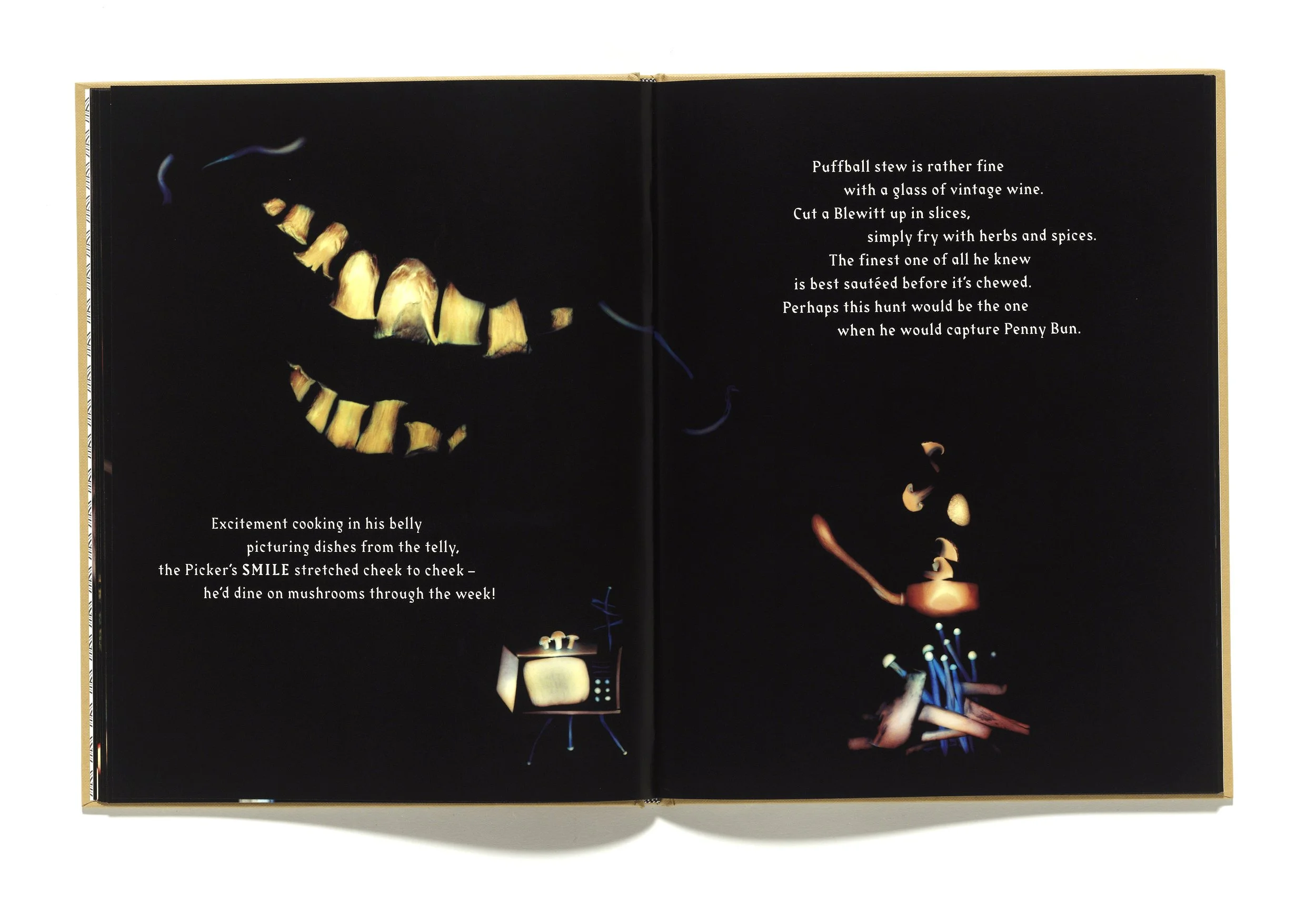 The Mushroom Picker by David Robinson published by Violette Editions7.JPG