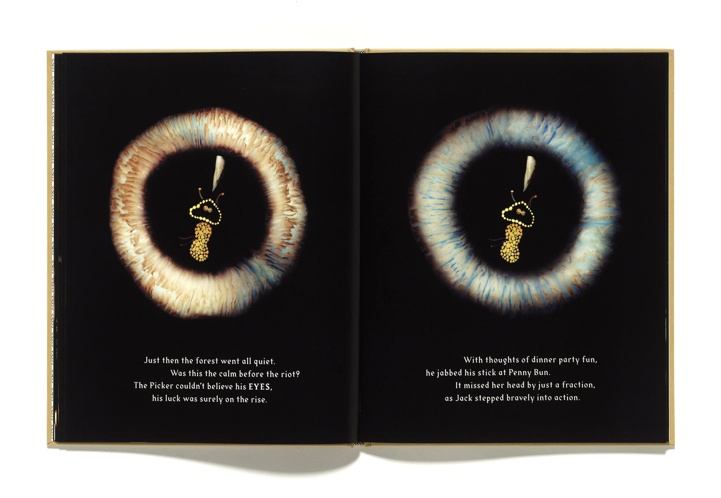 The Mushroom Picker by David Robinson published by Violette Editions8.JPG