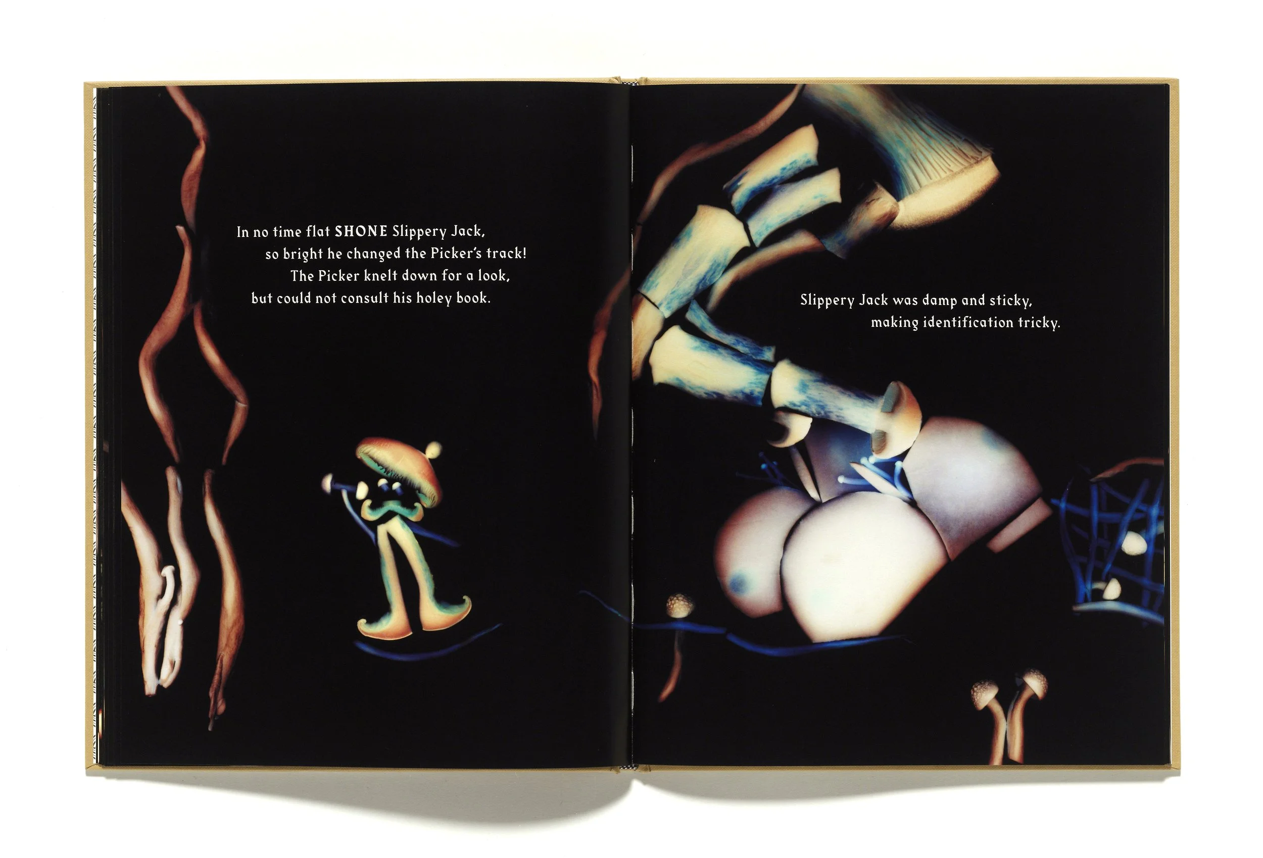 The Mushroom Picker by David Robinson published by Violette Editions9.JPG