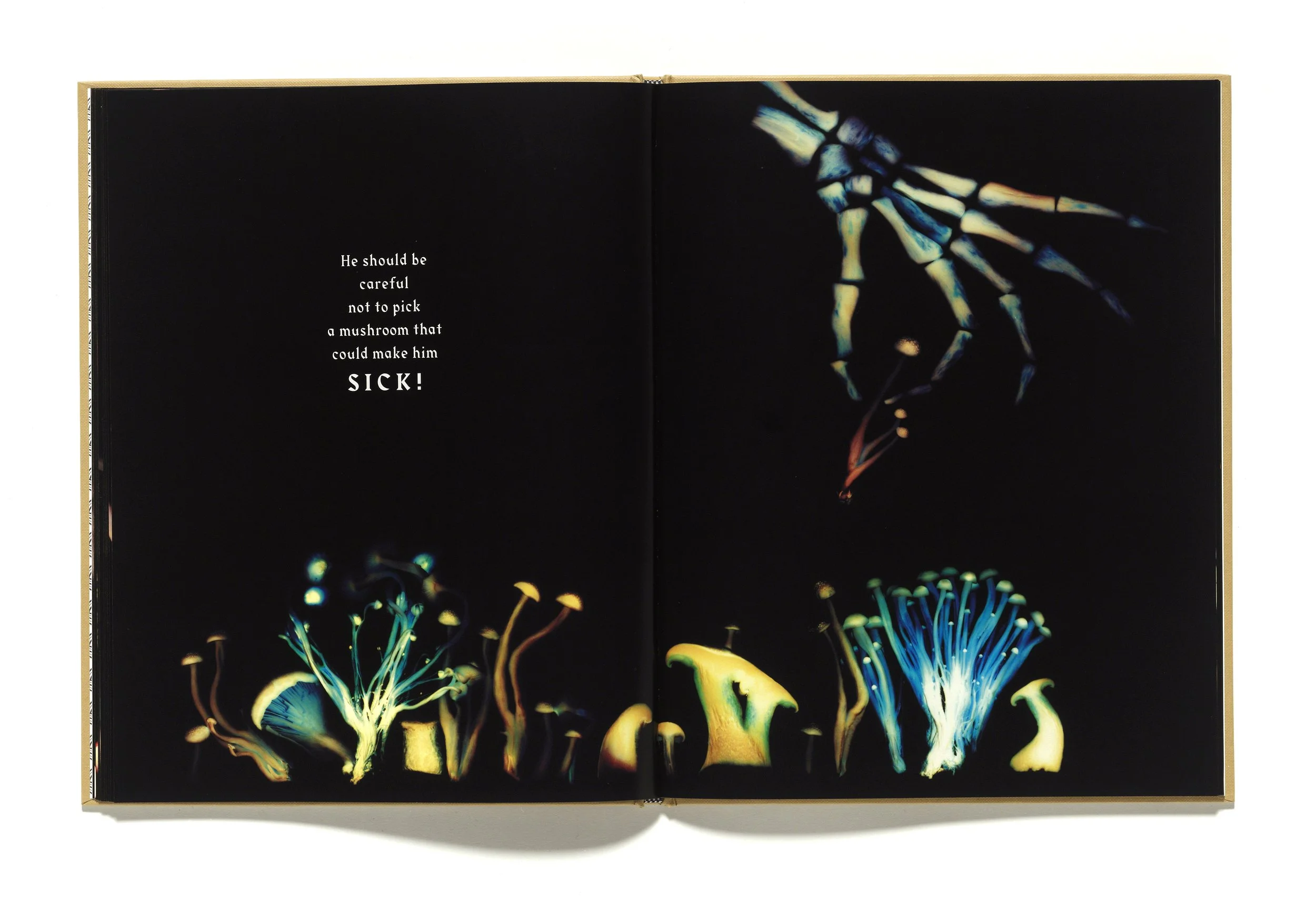 The Mushroom Picker by David Robinson published by Violette Editions10.JPG