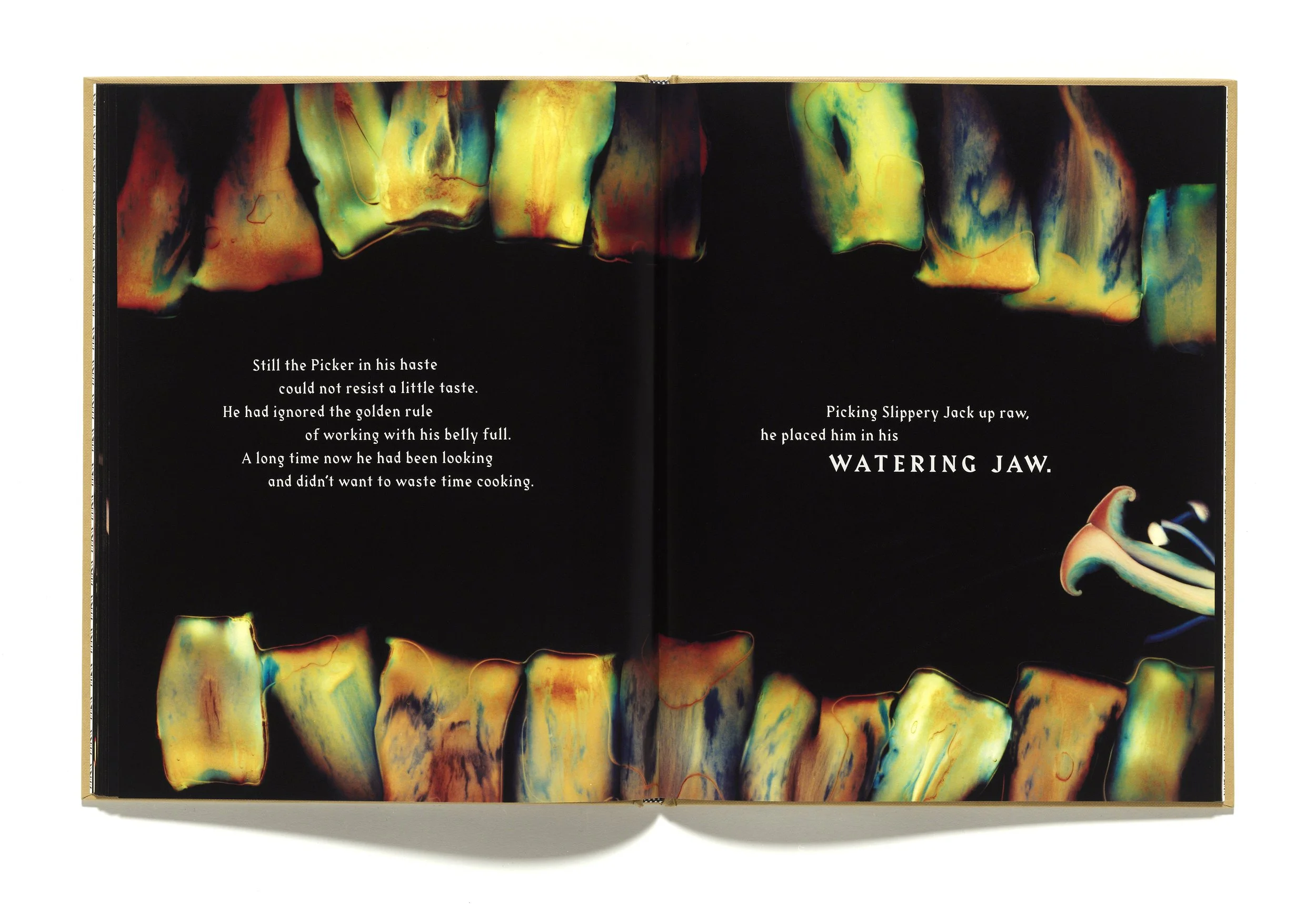 The Mushroom Picker by David Robinson published by Violette Editions11.JPG