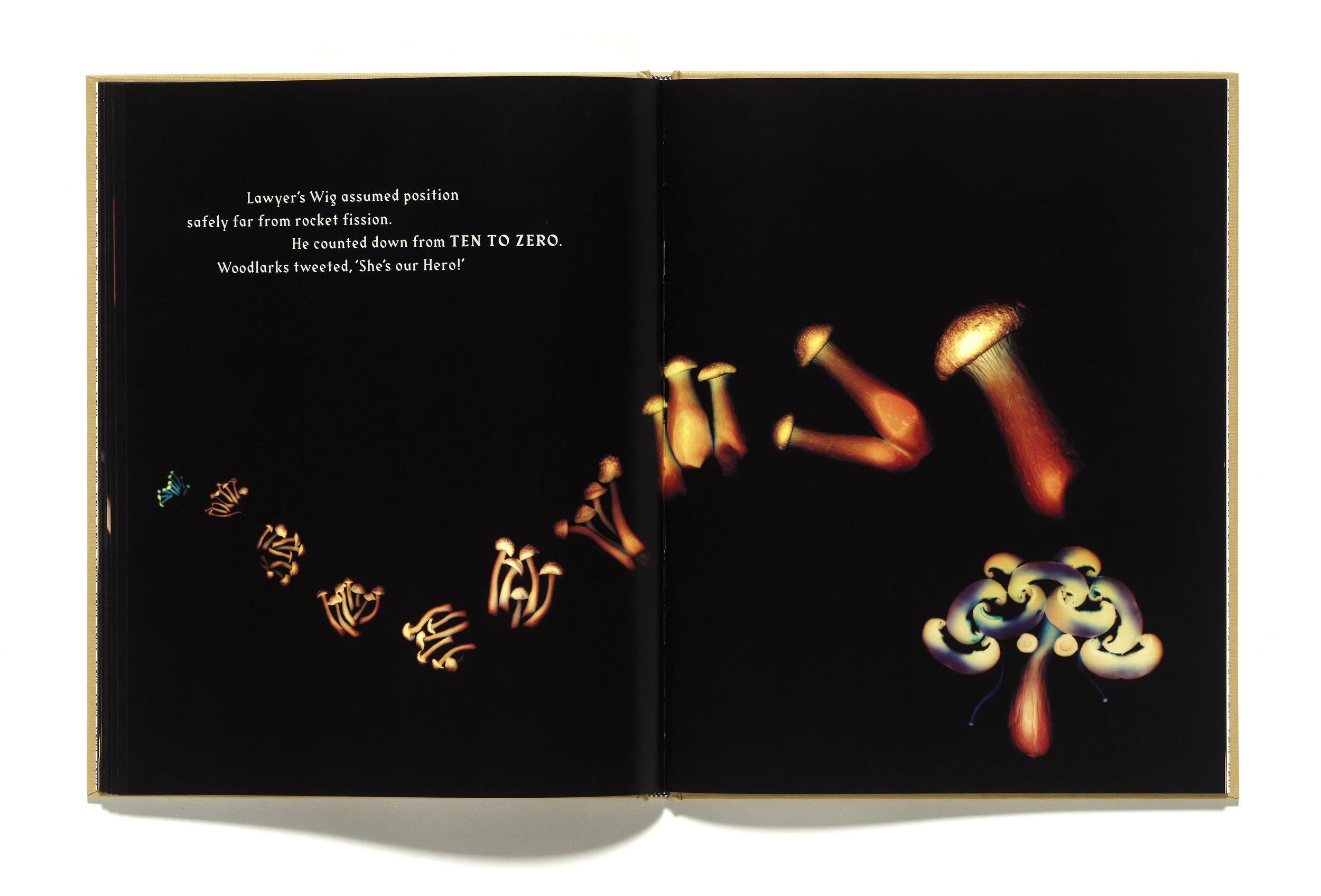 The Mushroom Picker by David Robinson published by Violette Editions13.JPG