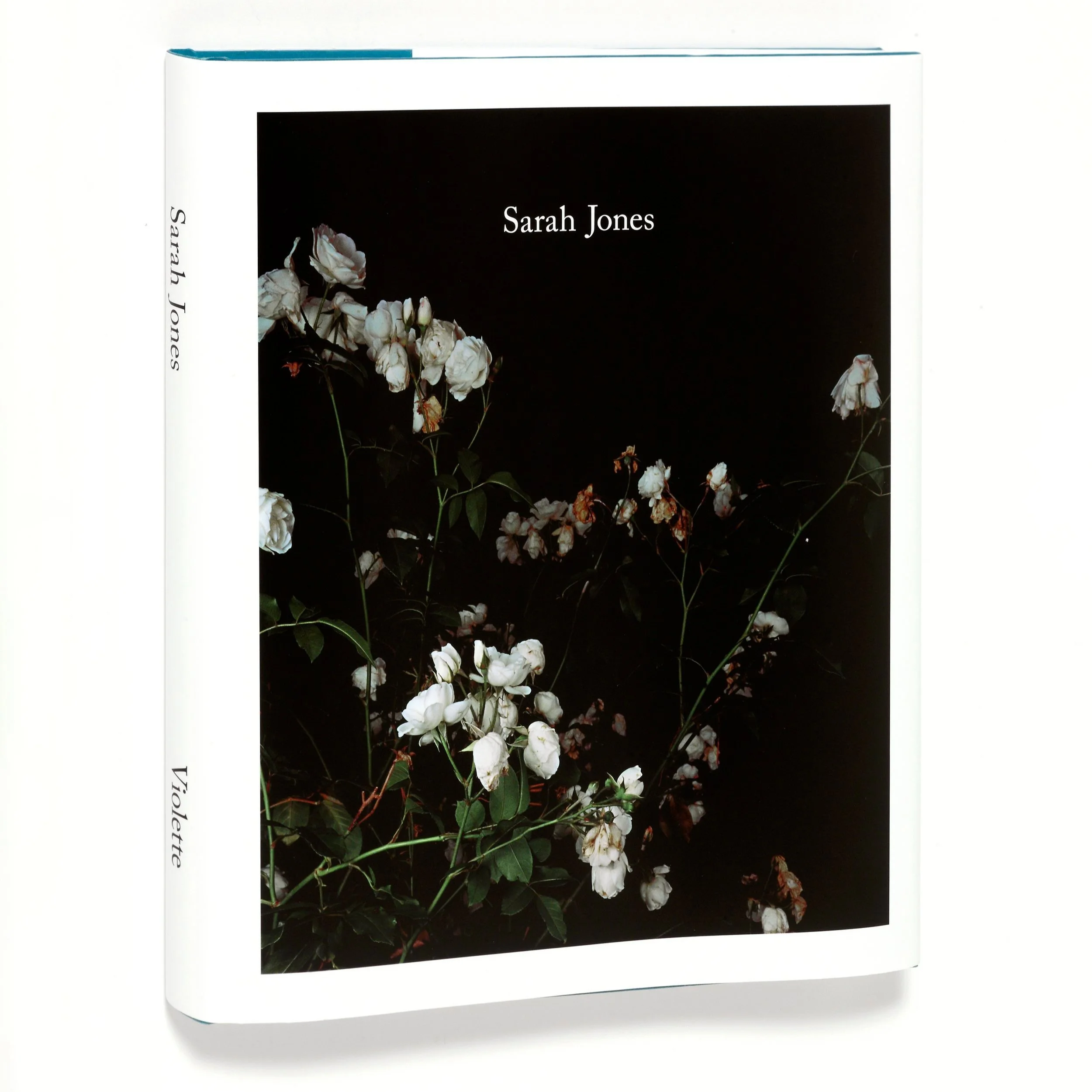 Sarah%2BJones_Published%2BOctober%2B2013%2Bby%2BViolette%2BEditions_oblique%2Bview.jpg