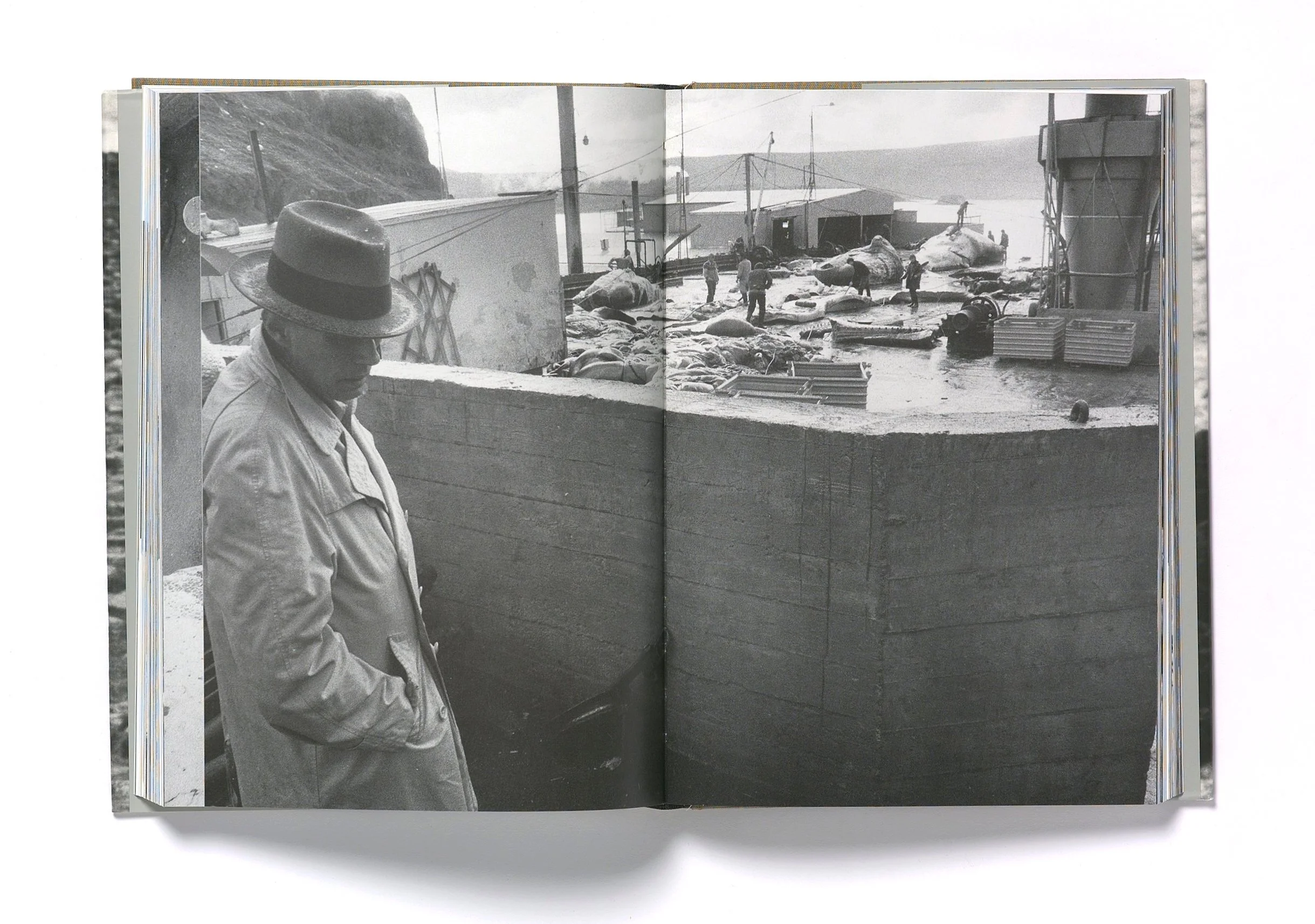 Robert Violette_138_.JPG