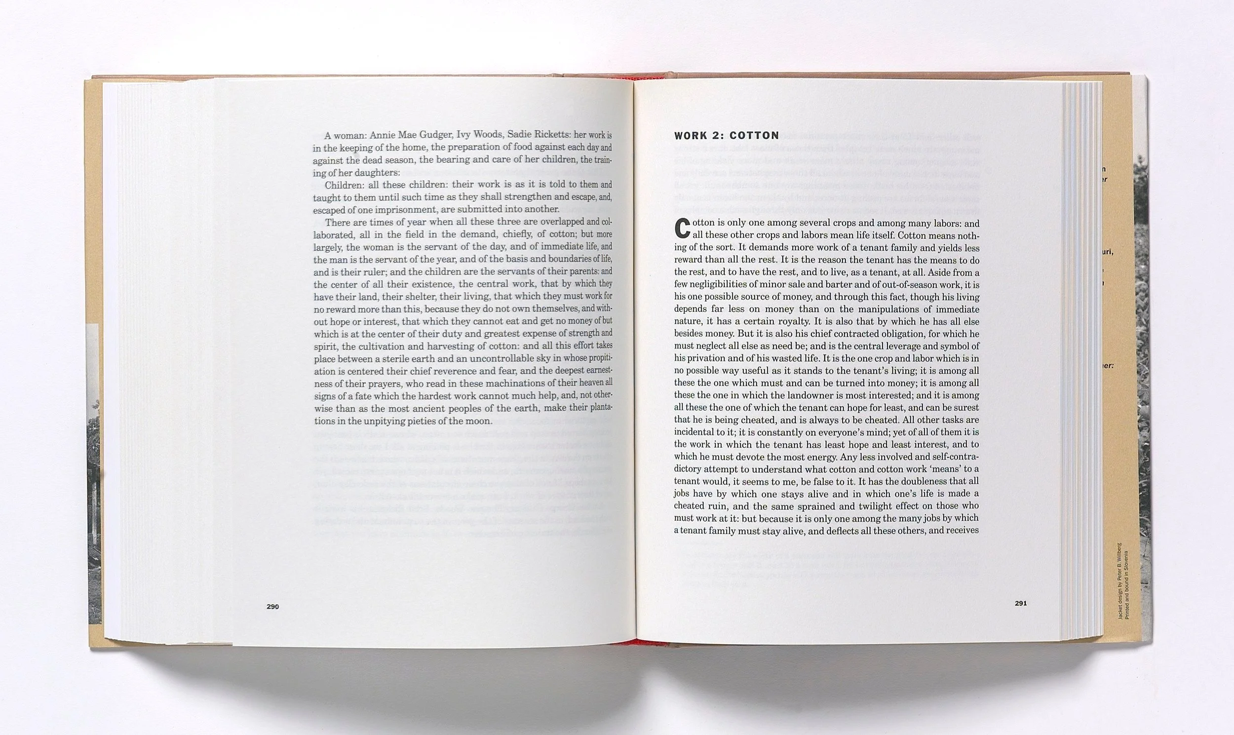 Robert Violette_173_.JPG