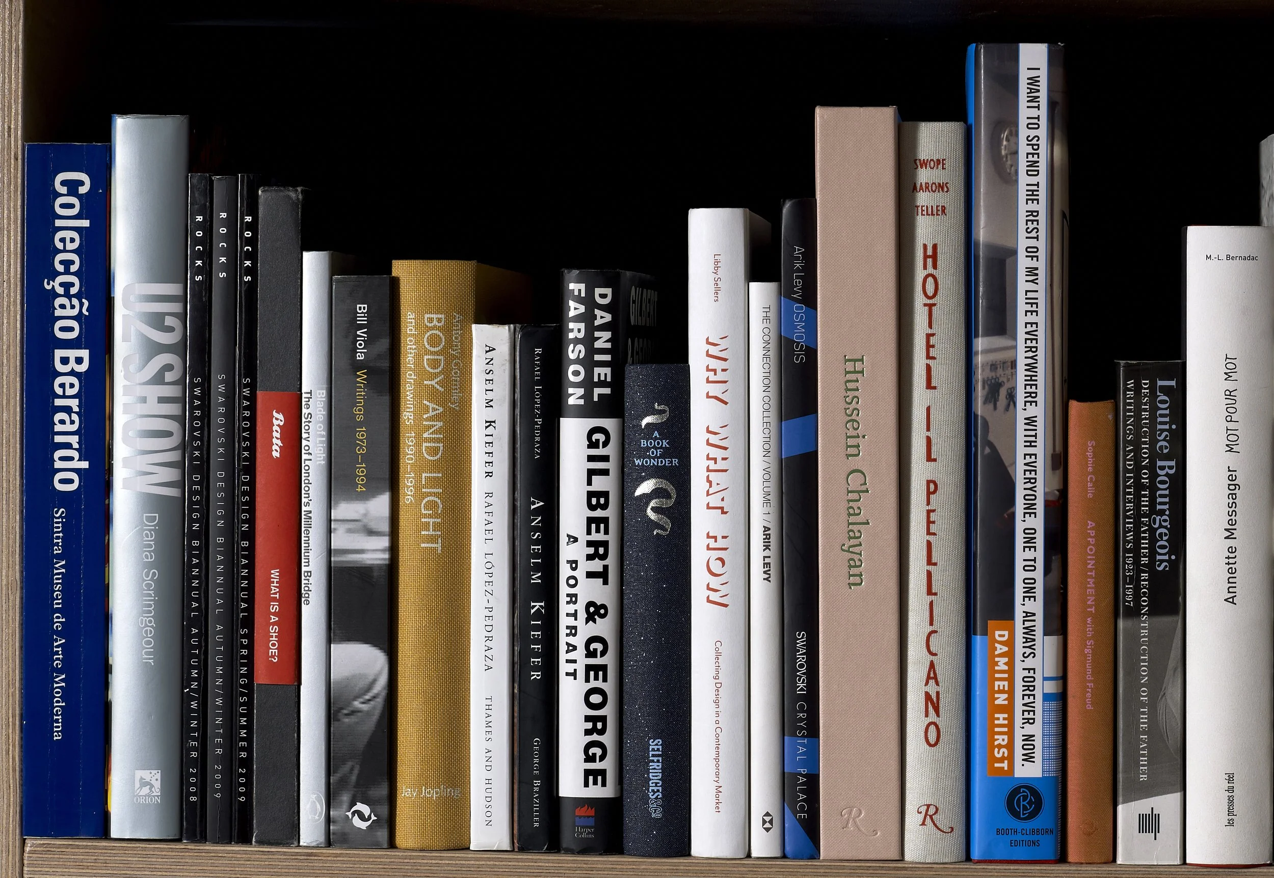 Violette_bookshelf crop 2.JPG