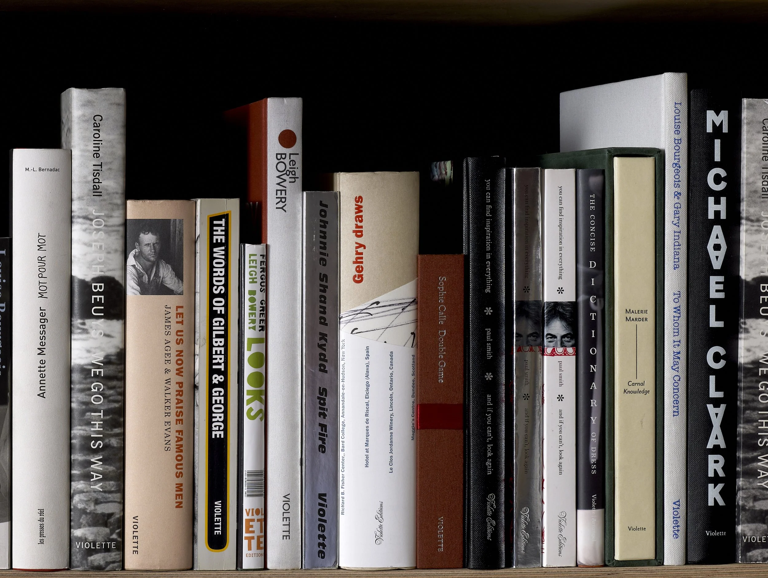 Violette_bookshelf crop 3.JPG