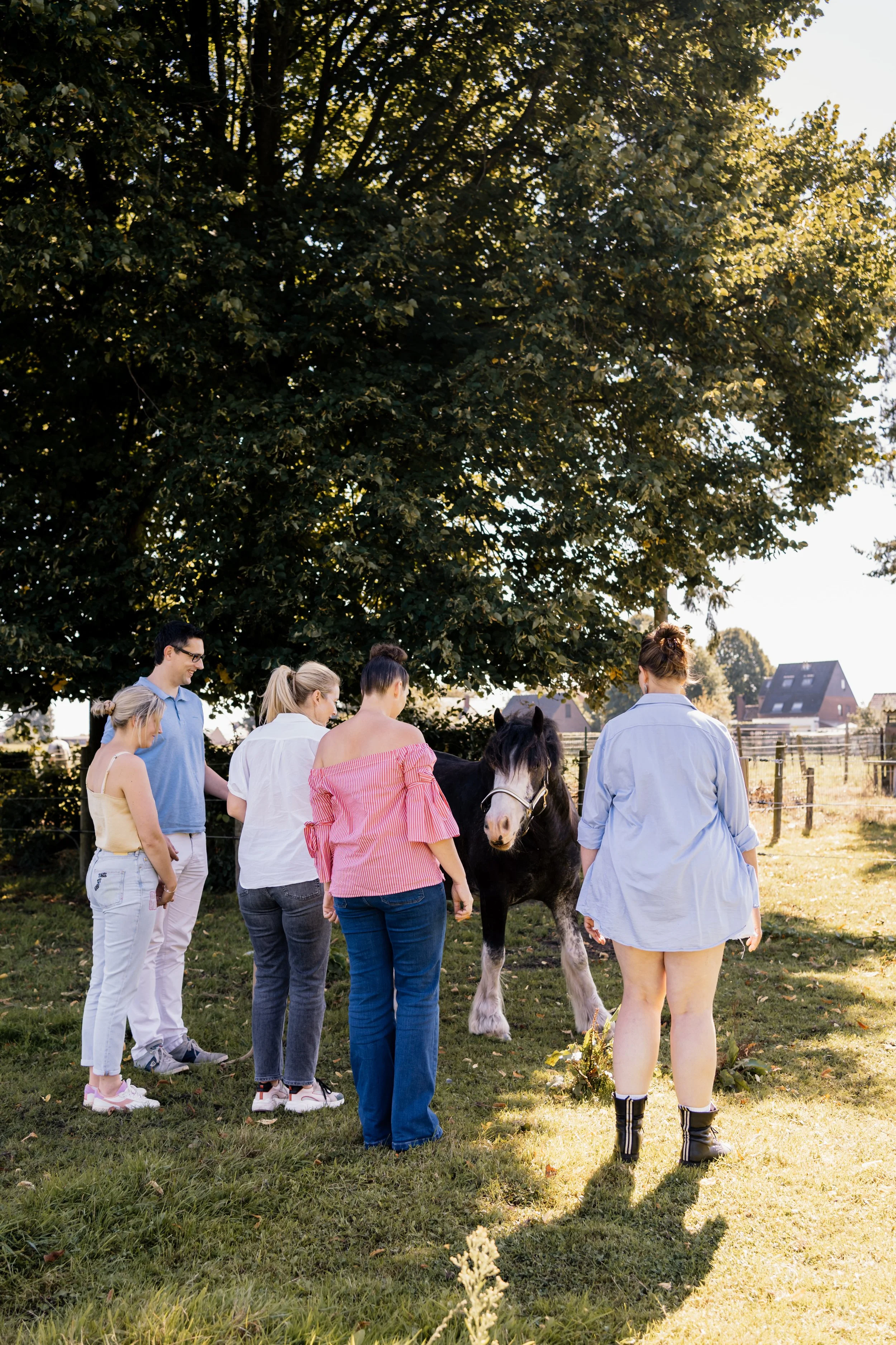 Gedreven Denkers - Voor ondernemers en leiders die voelen dat het nog draait, maar niet meer klopt.