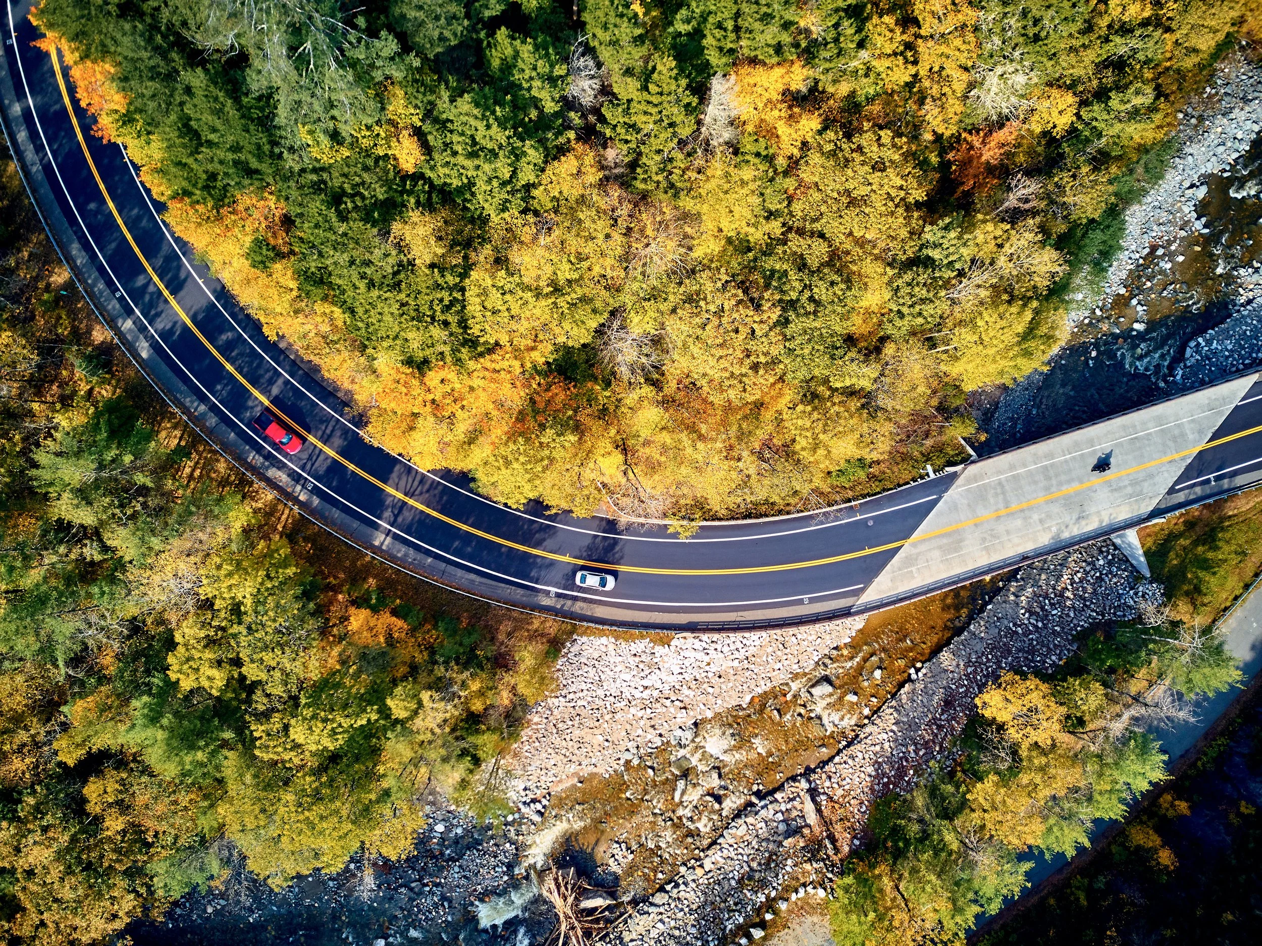 Heading Out to the Dealerships This Fall? Here’s Why Timing Is Everything
