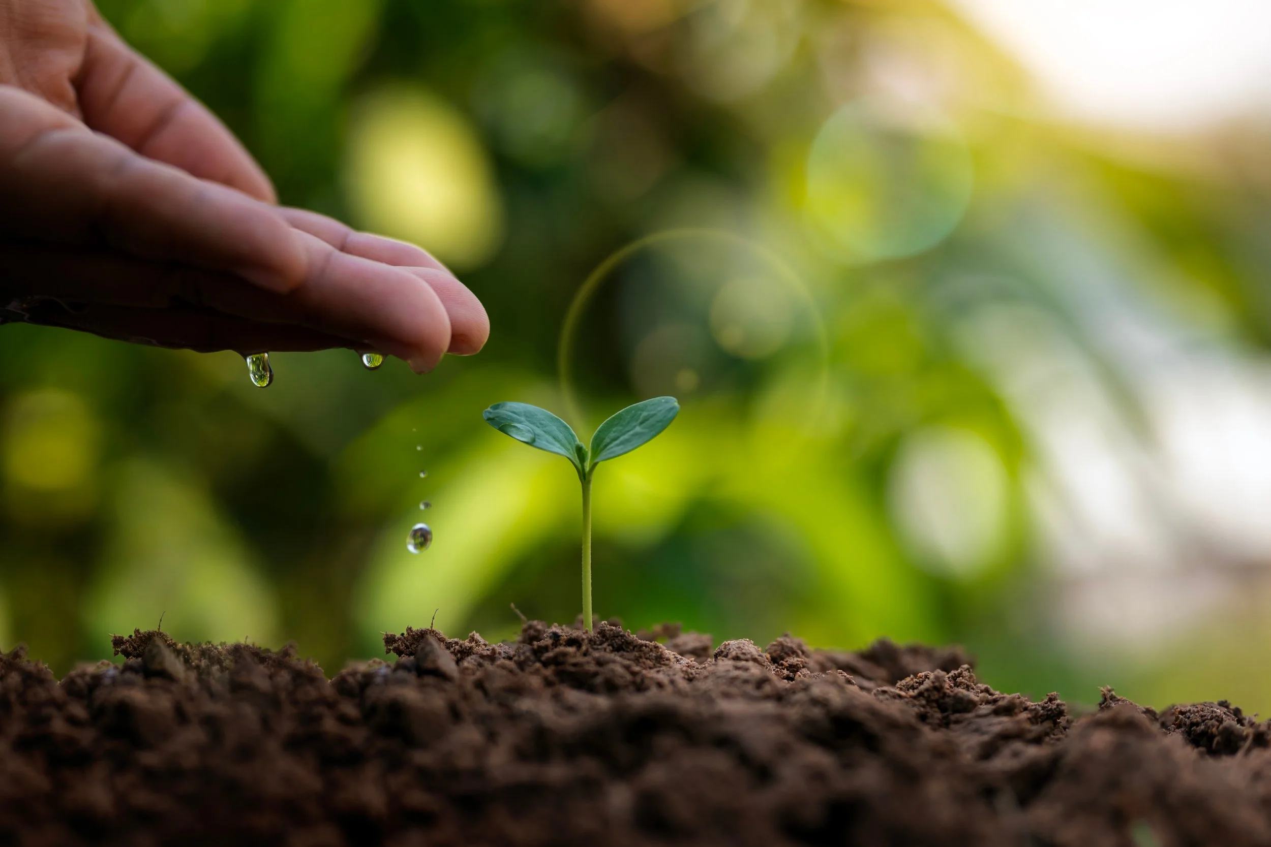 Spring is Coming... Are Your Savings Ready to Grow?