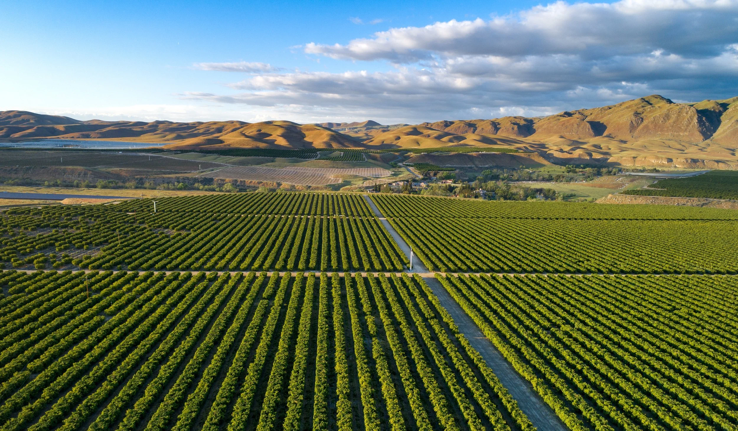 AdobeStock_531514581.jpg