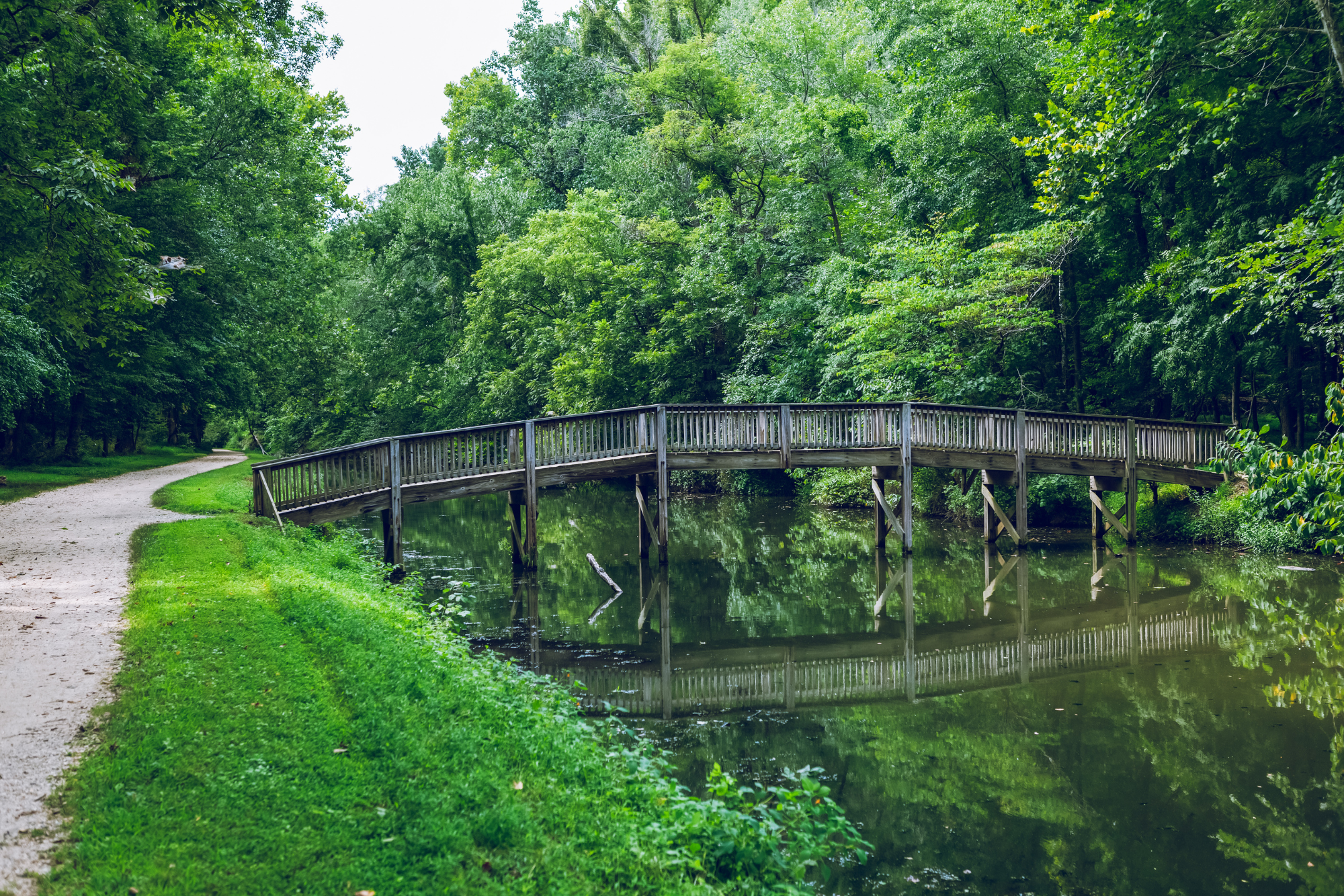 Website Banners (7).png