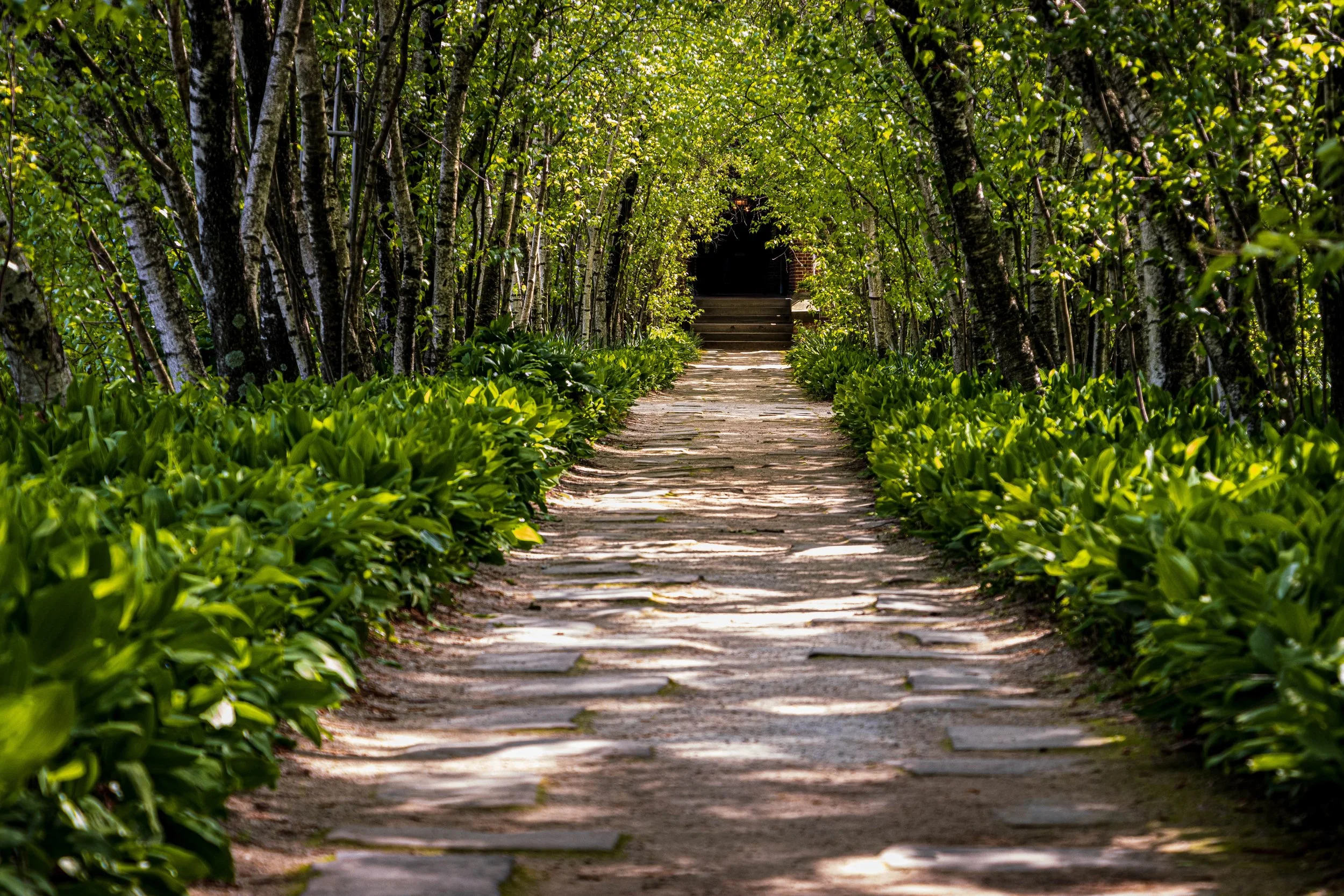 Ready to transfer a high-rate balance to a Towpath Credit Union Mastercard?