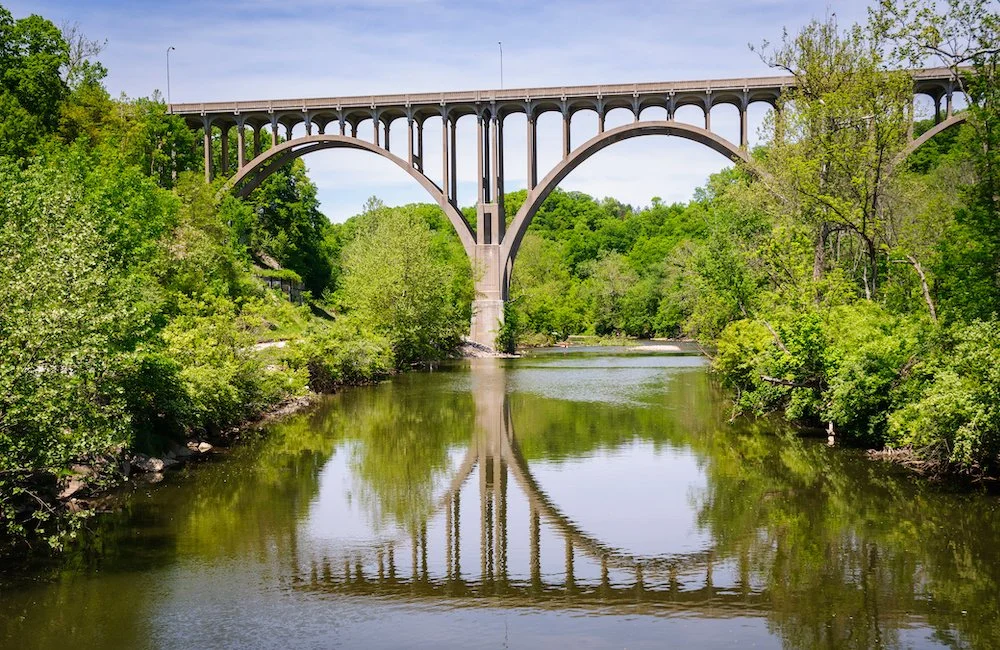 Investing for Beginners