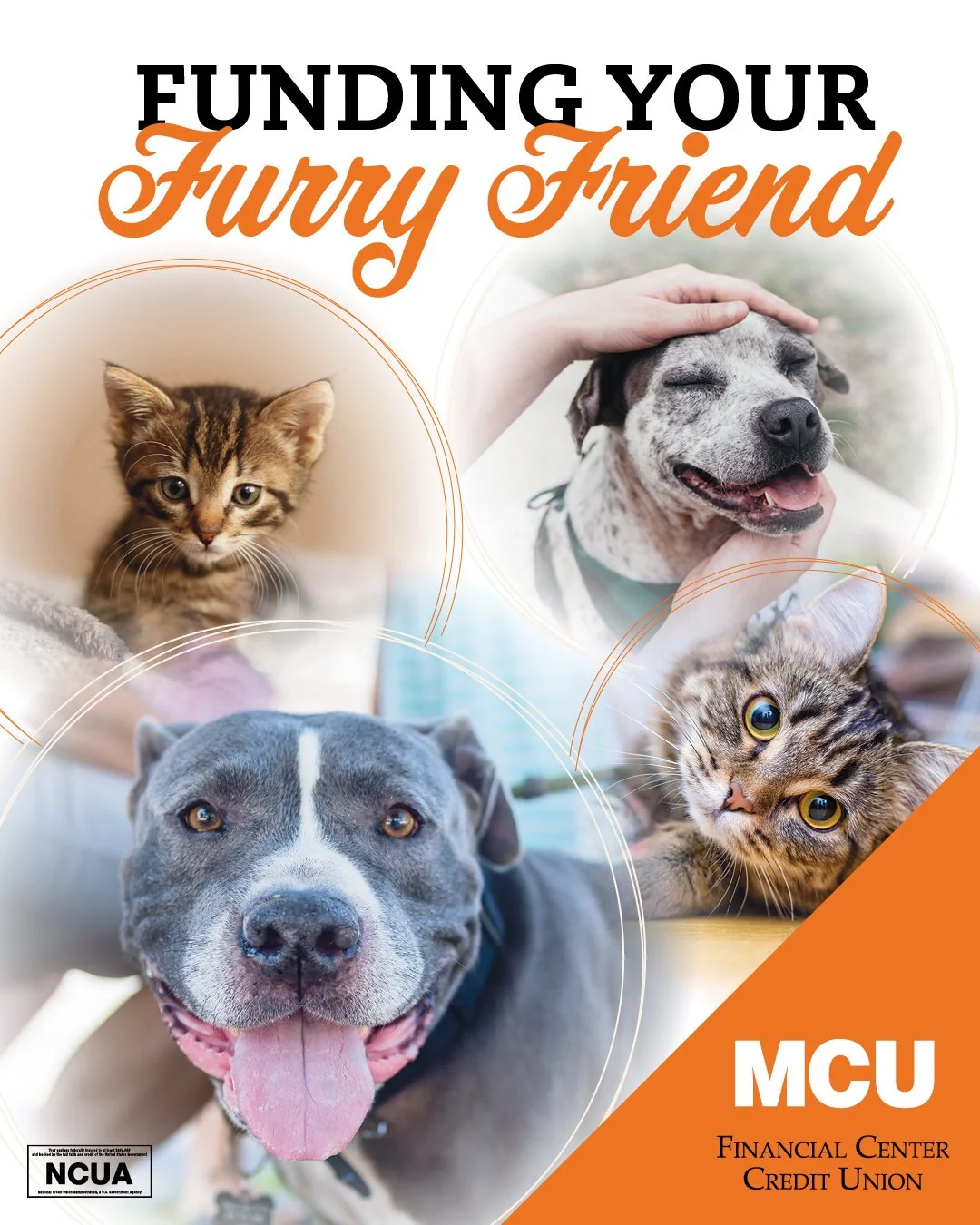 Bringing home a furry friend soon? Pets bring joy &ndash; and expenses. Don&rsquo;t forget to budget for ongoing costs like&hellip;
&bull; Essentials: Set aside funds for pet food, leashes and grooming. 
&bull; Boarding: Plan for when you&rsquo;re aw