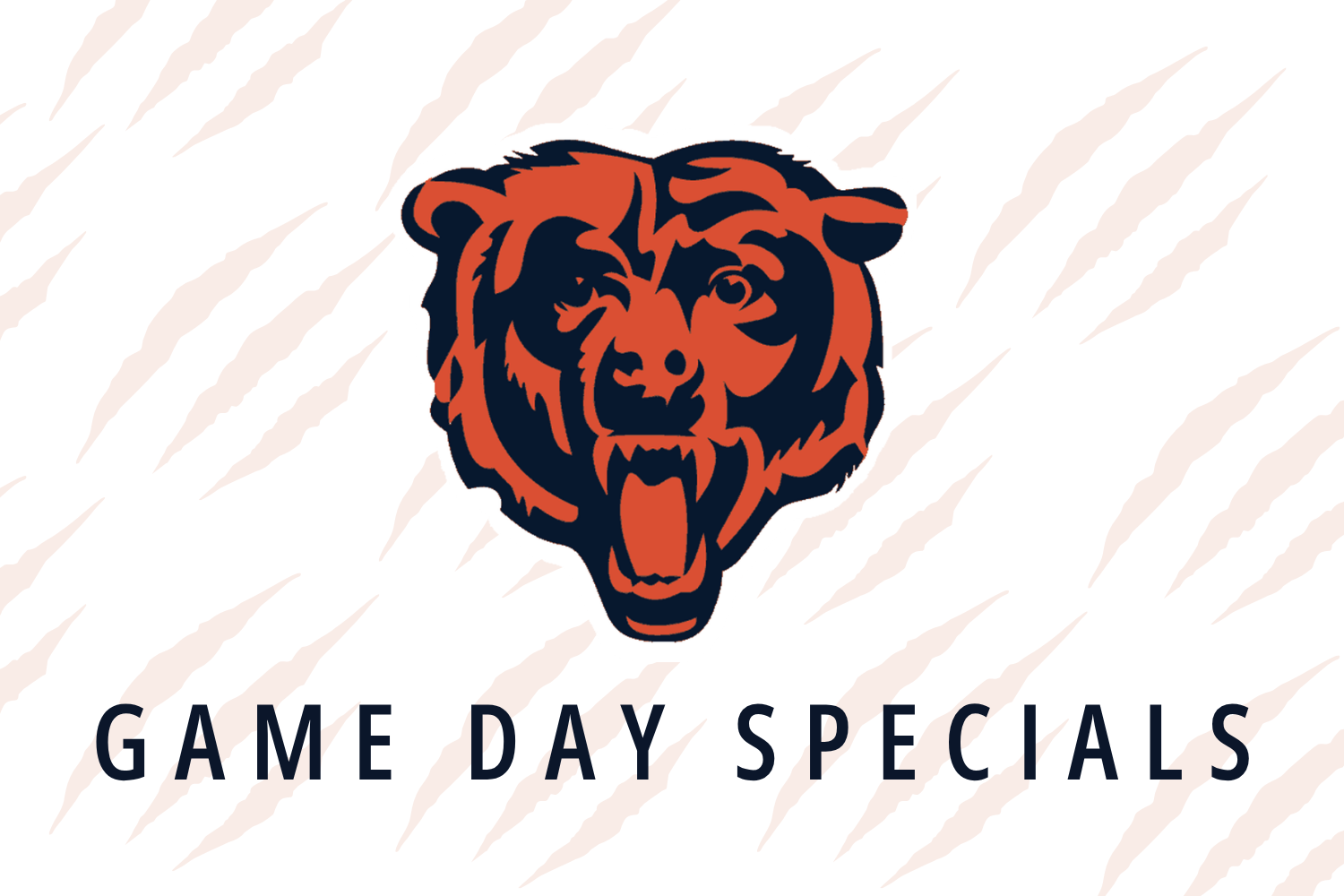 Bears vs. Panthers 