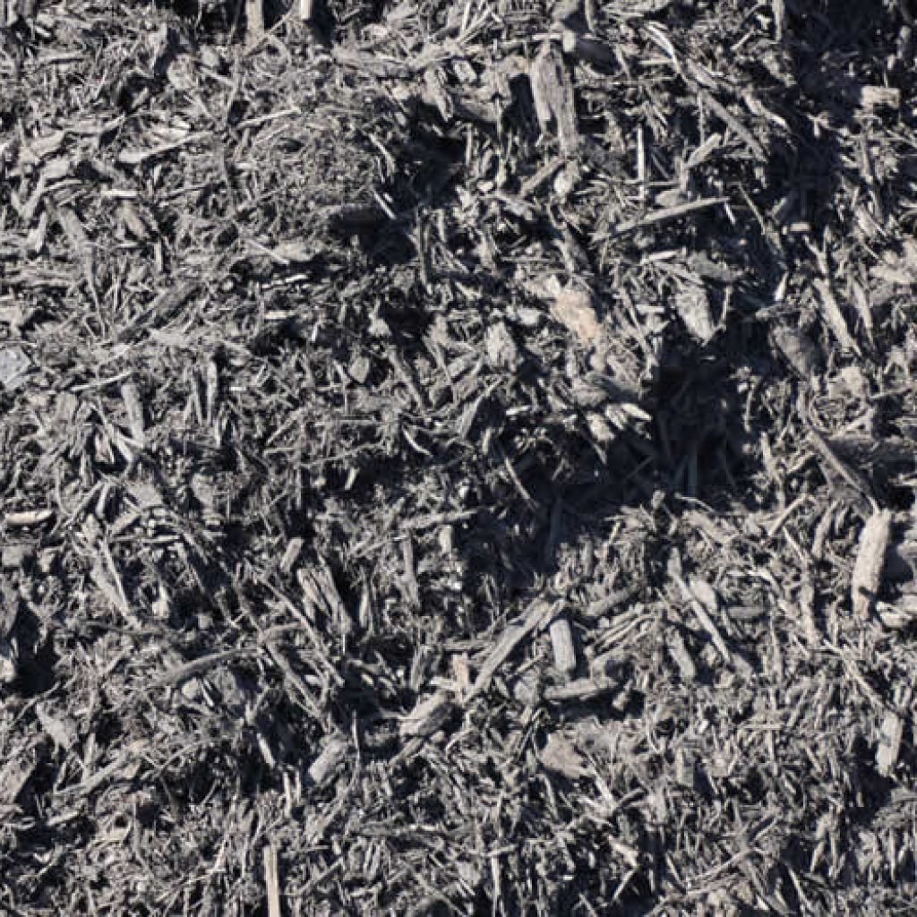 mulch-black-1024x1024.jpg
