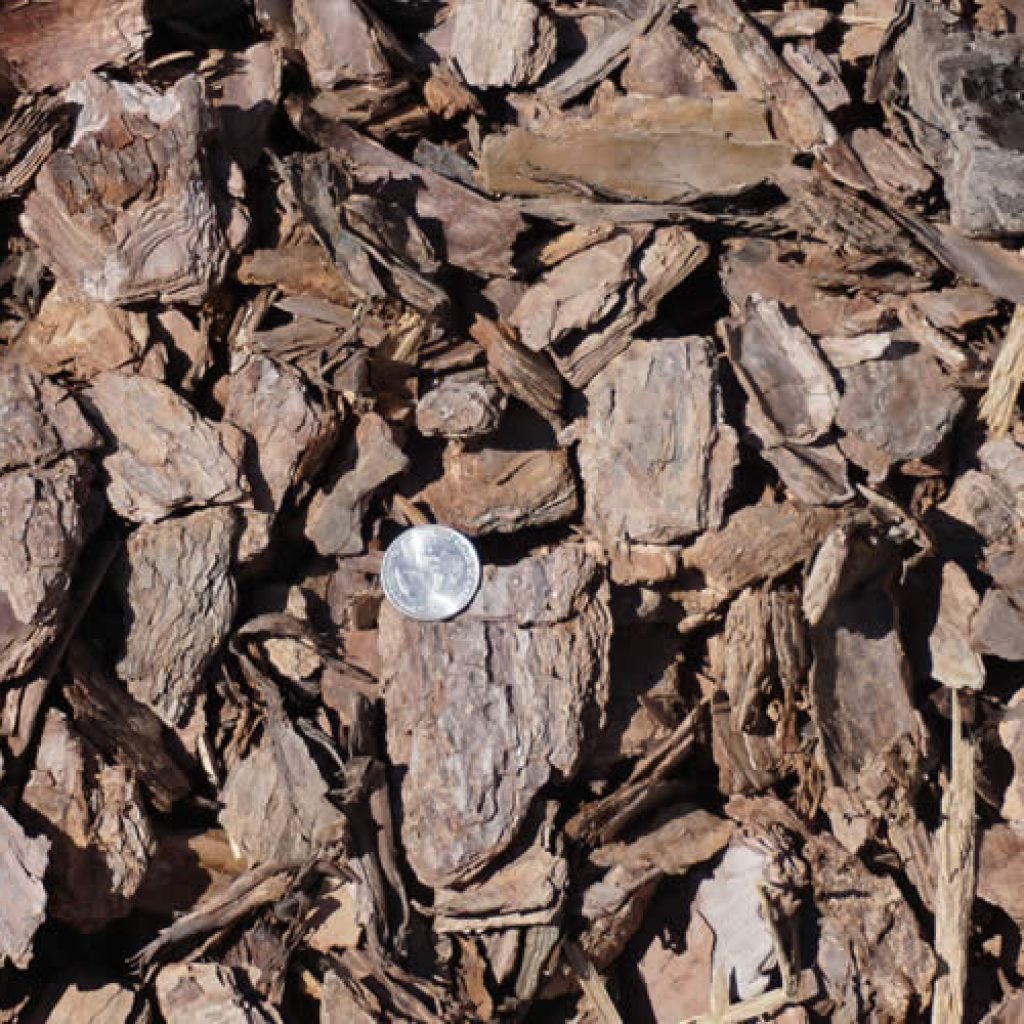 mulch-pine-nuggets-large-1024x1024.jpg