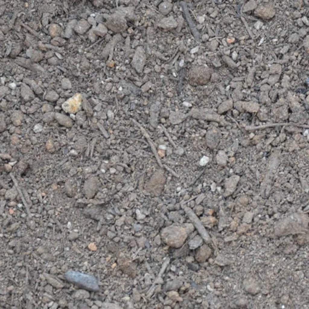 dirt-strawberry-1024x1024.jpg