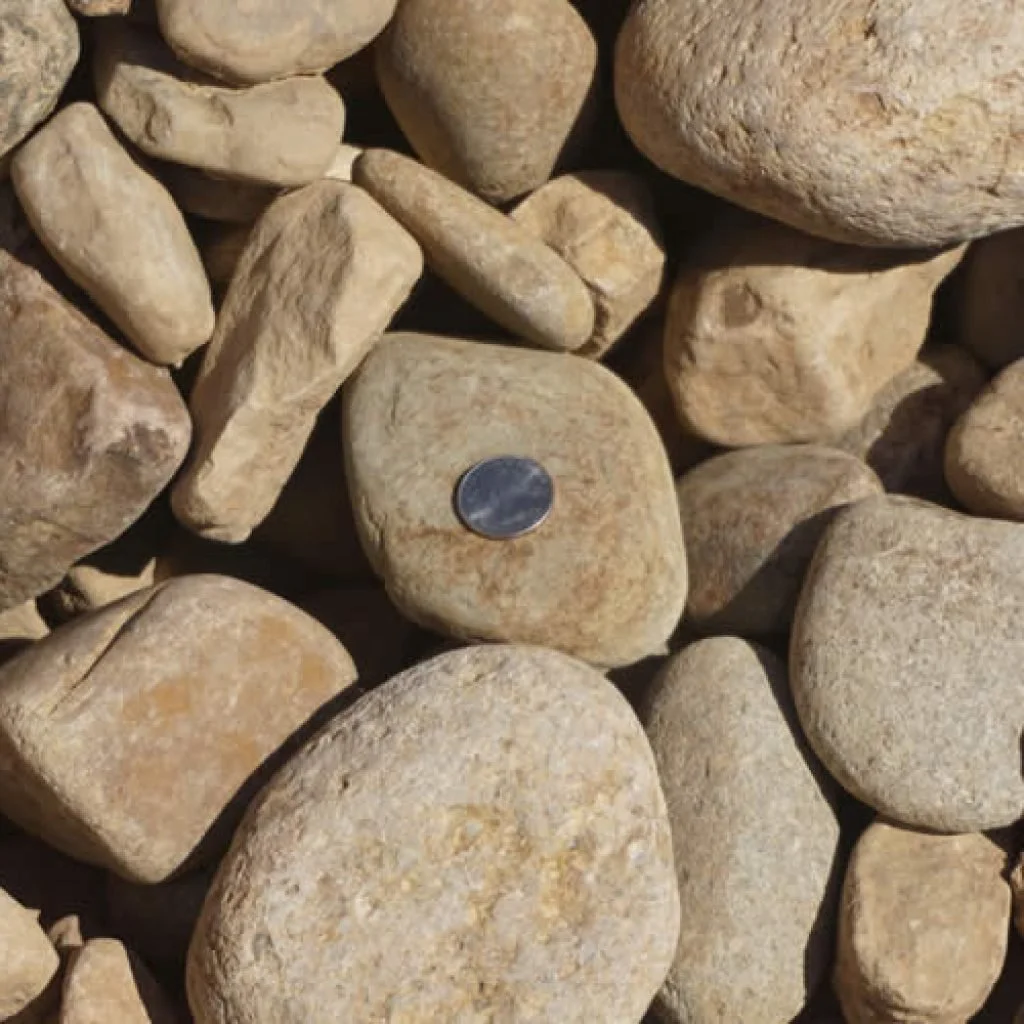 river-rounds-small-bear-paws-1024x1024.jpg