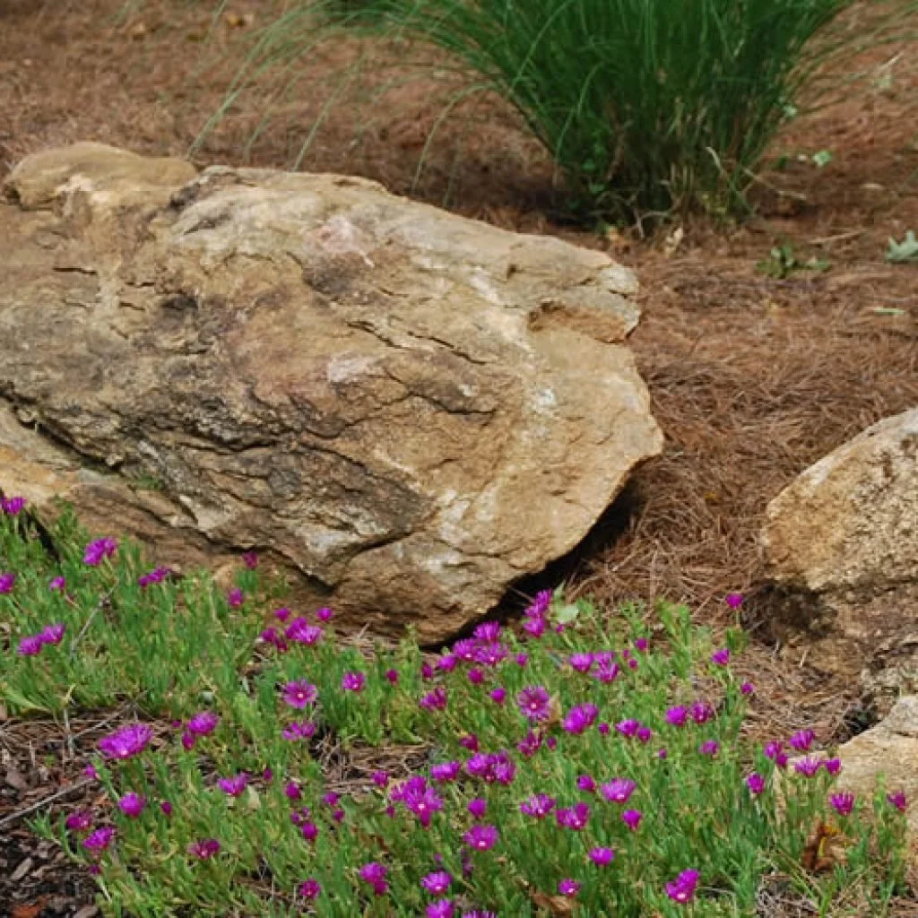 tennessee-fieldstone-garden-boulder-1024x1024.jpg
