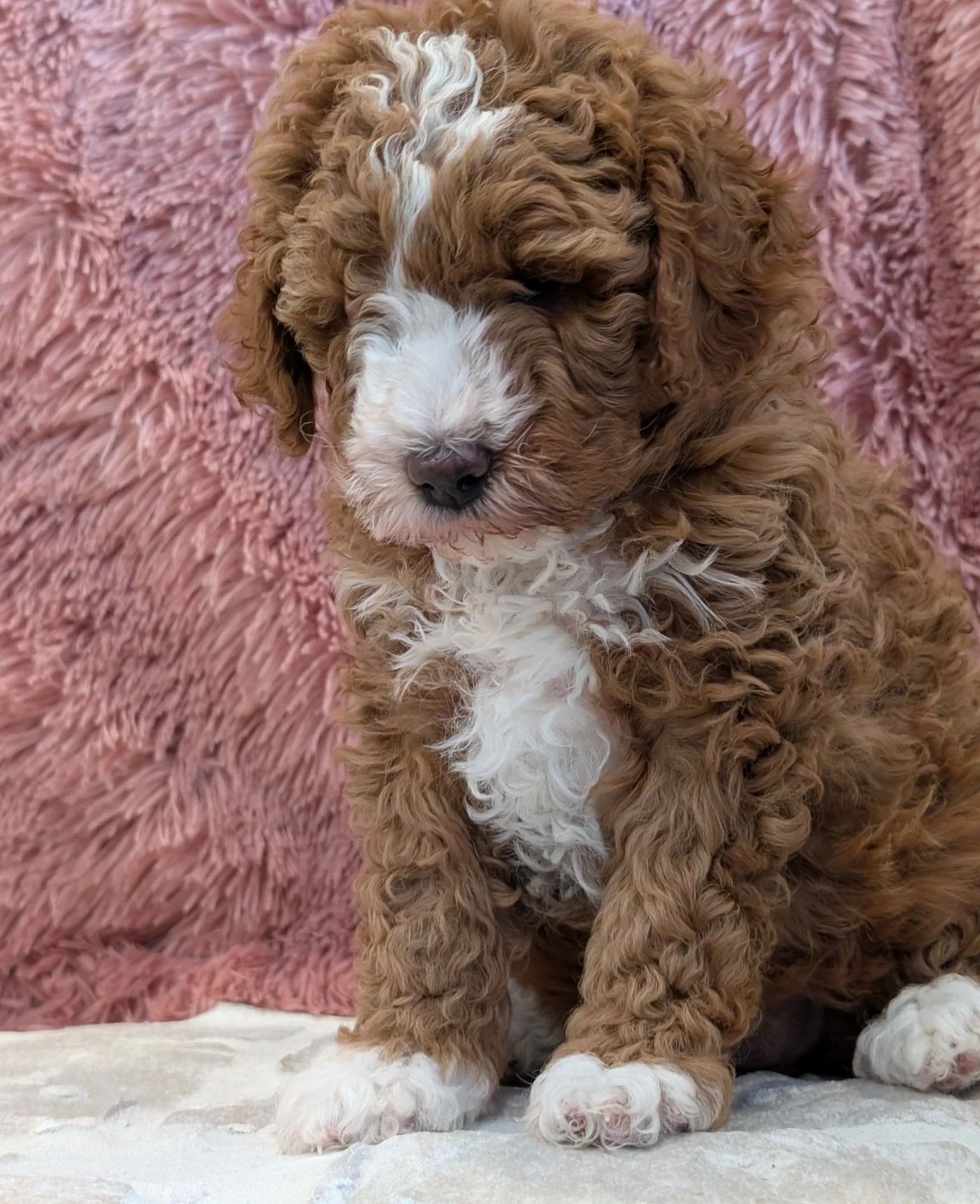 622098886_1495585285904847_6443569599202024192_n.jpg