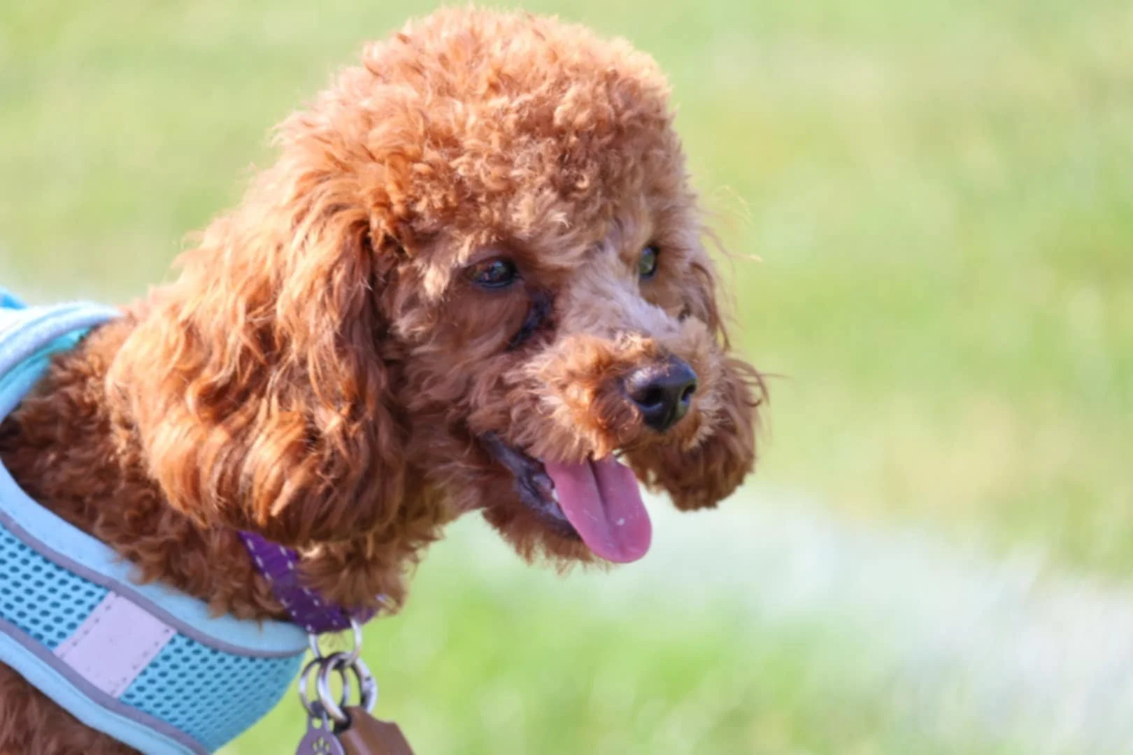 cf408e4d-1ca0-46e1-b919-429dcbf53362.jfif