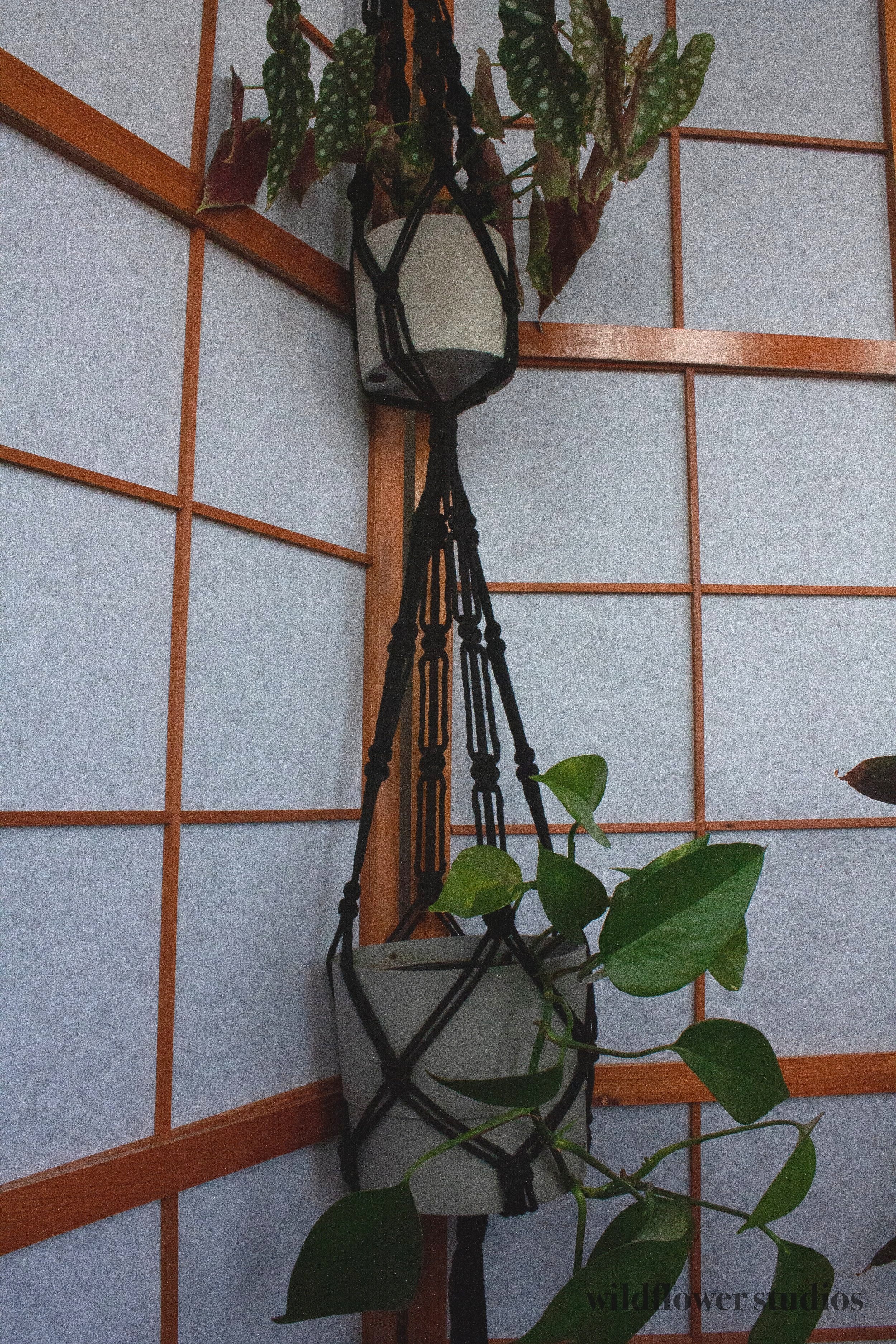 blackdoublepot03.jpg