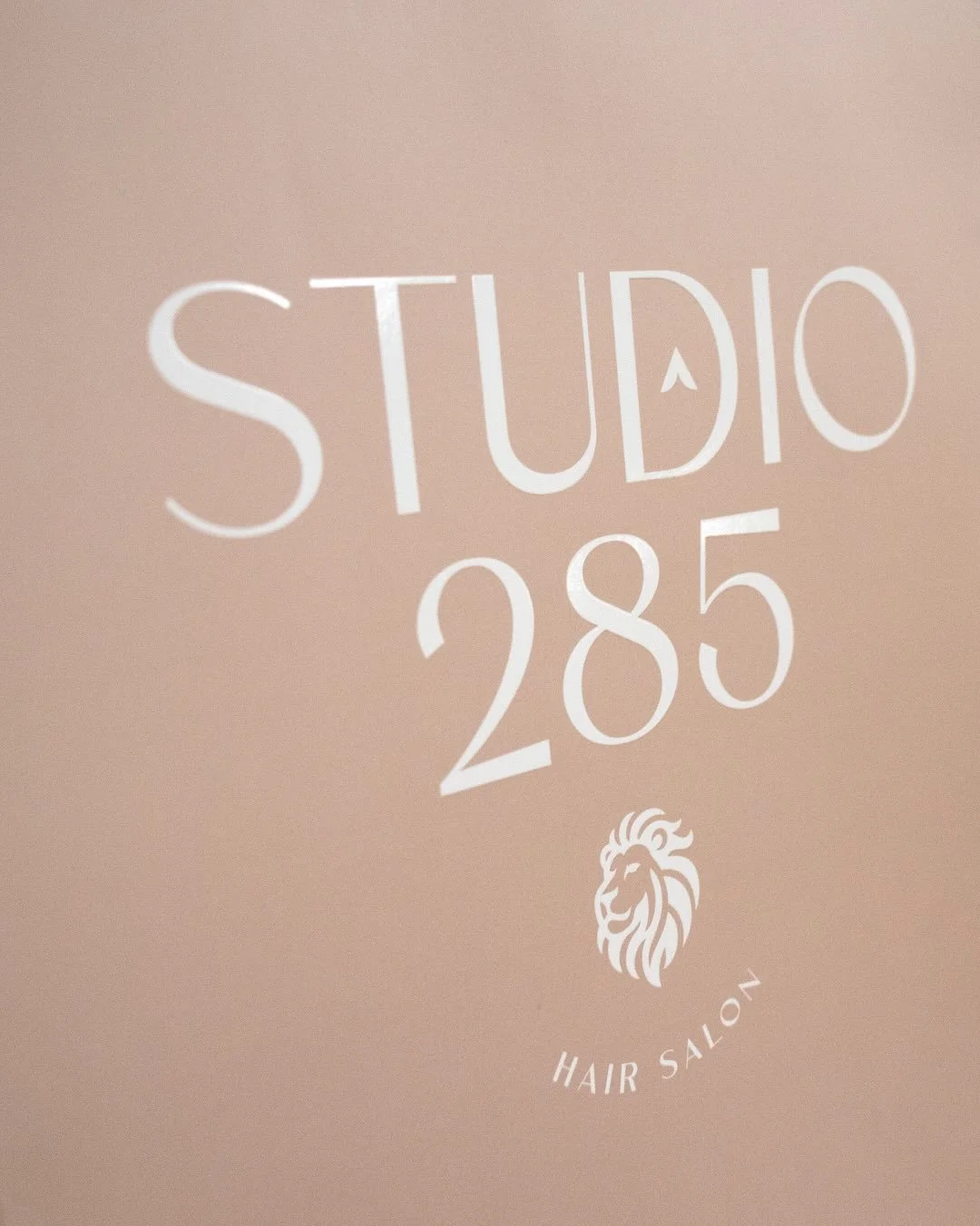 @studio285_hairsalon was looking for a retail bag that was different and stood out from the rest. We created this fully custom bag template to fit the size they needed for their salon products for their customers. My favorite part, that spot uv on th
