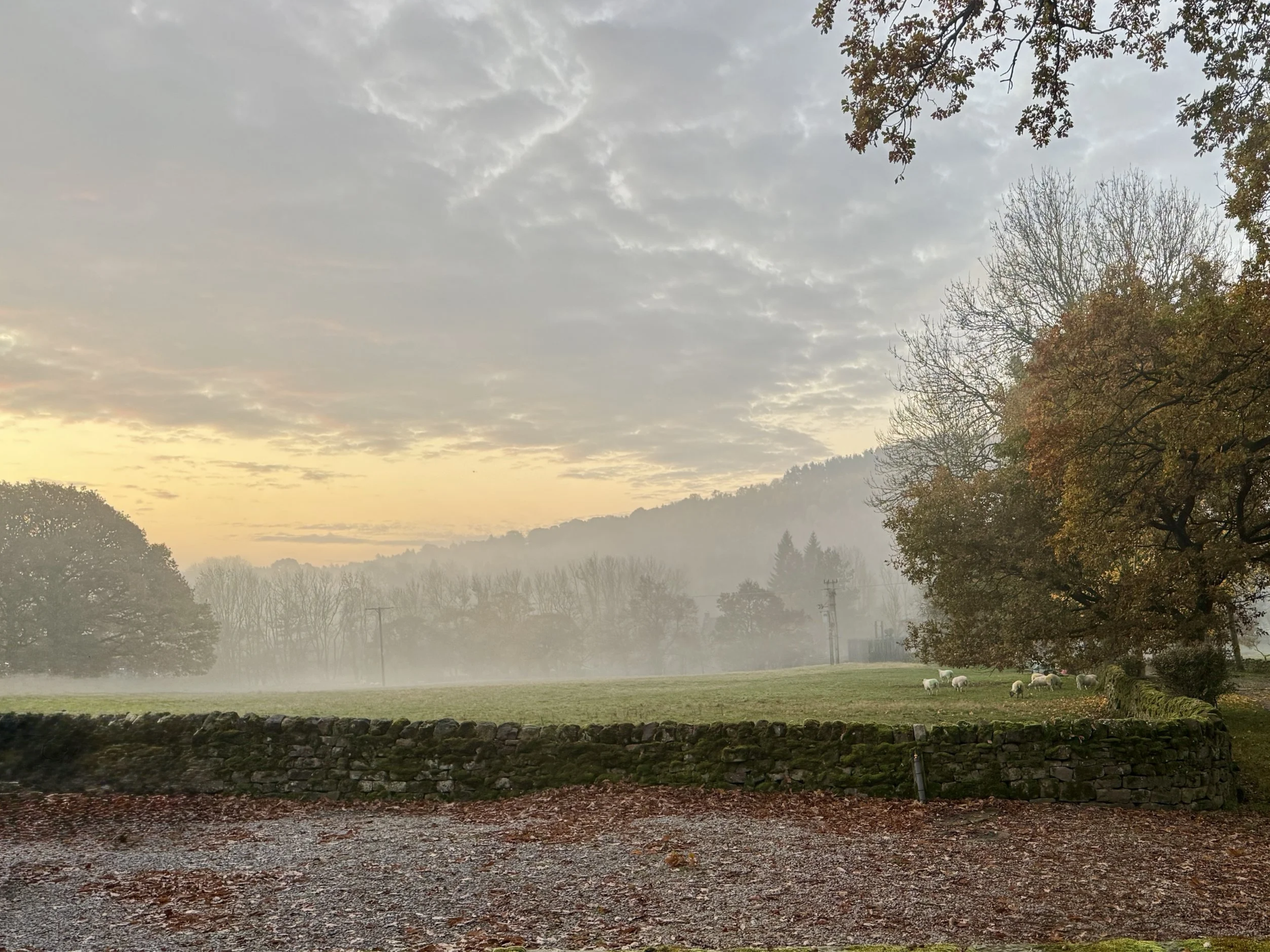 Embrace the New Year with a New Home