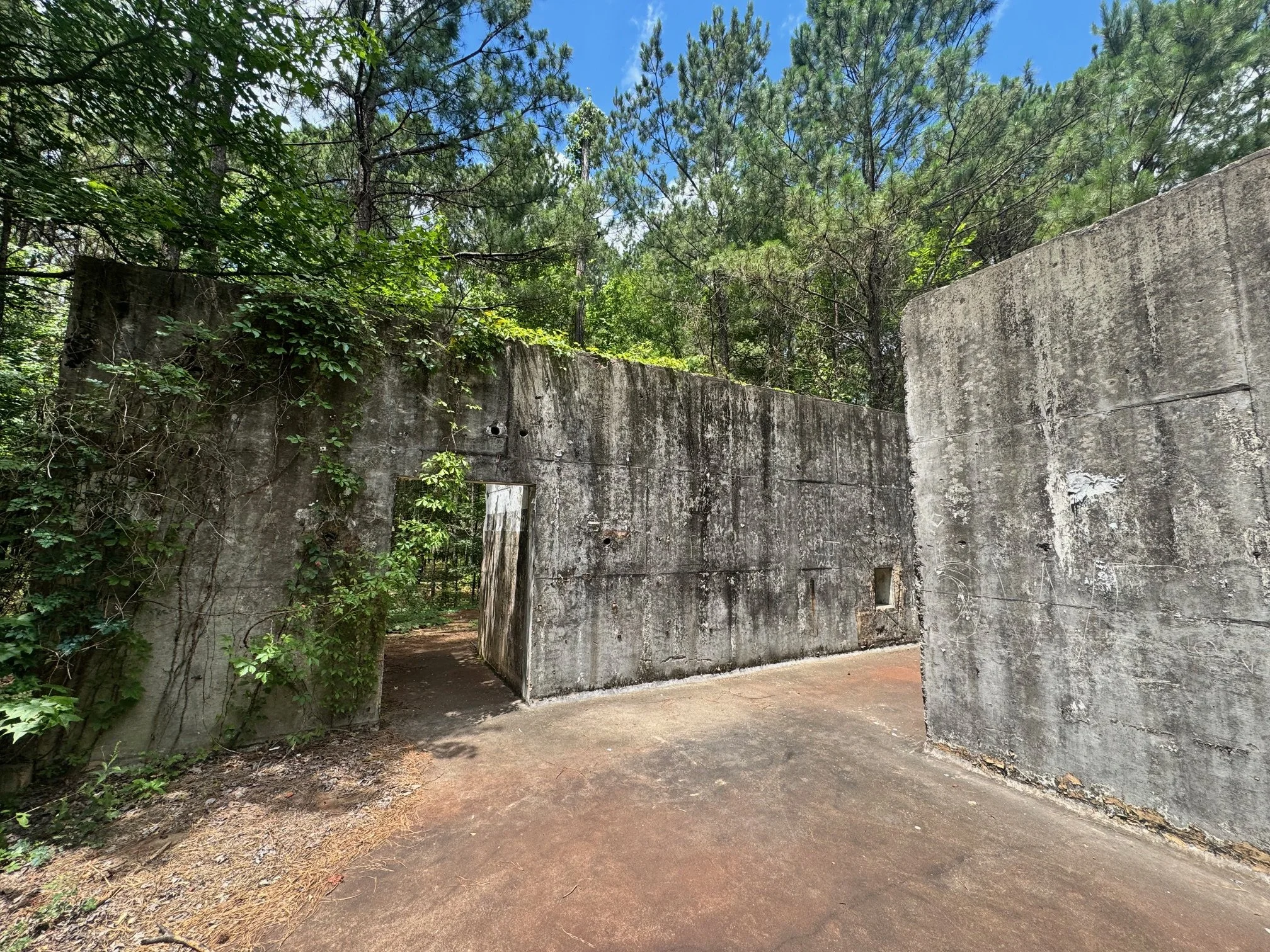 Northeast Texas History Cycle: Caddo Lake National Wildlife Refuge Bike Tour