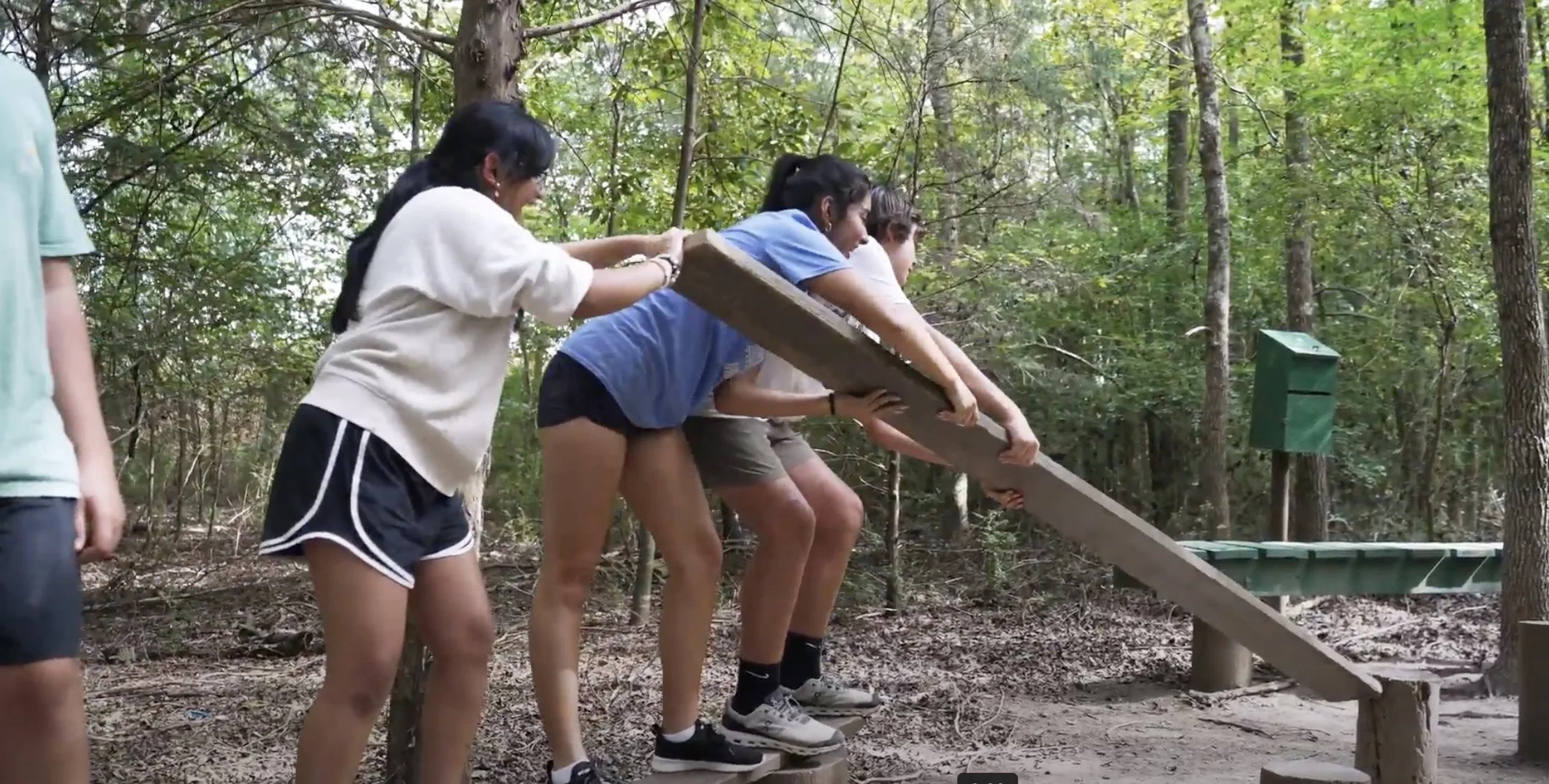 Group of people in a forest balancing a wooden beam on blocks.