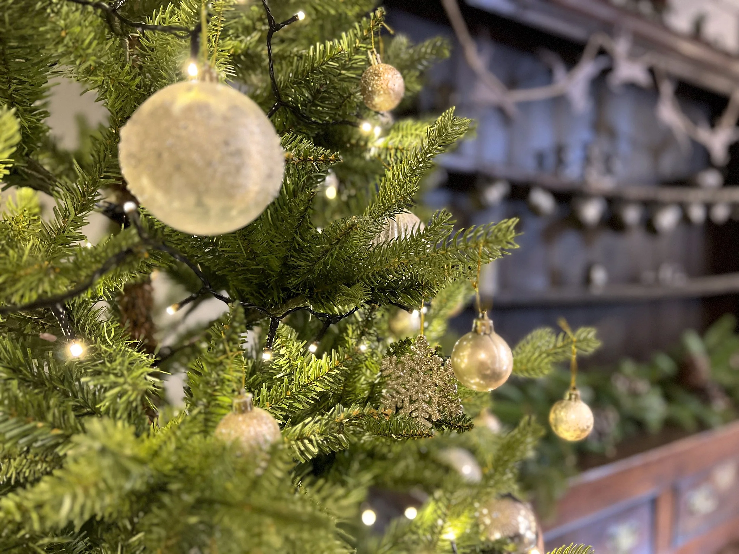 Christmas Detail.jpg