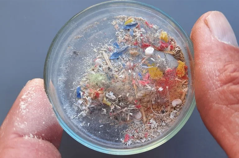 Microplastics - Our brain’s on the line
