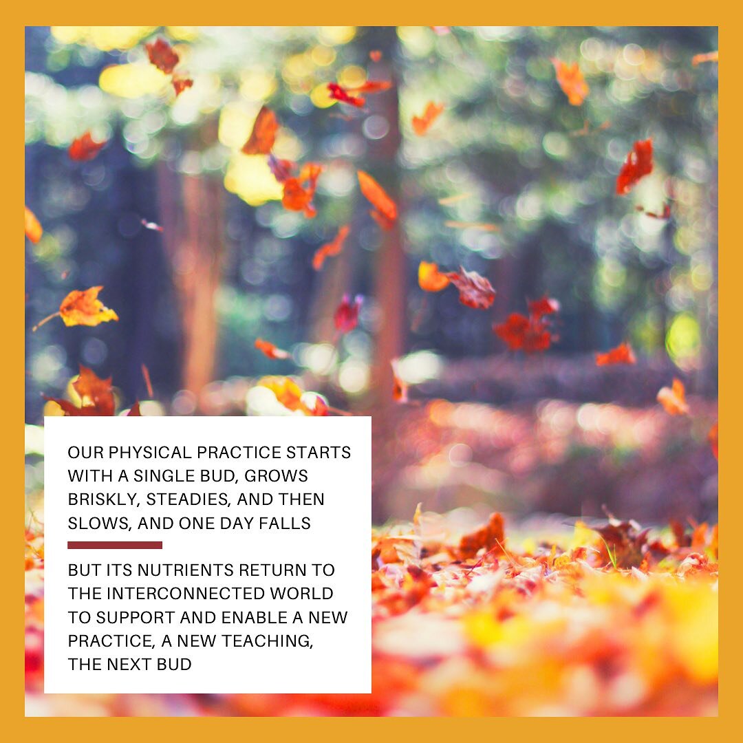 Your practice may feel independent of the larger world but it is deeply interconnected with future work and the healing of our world. With each breath my we move forward into peace.

With love, TPS