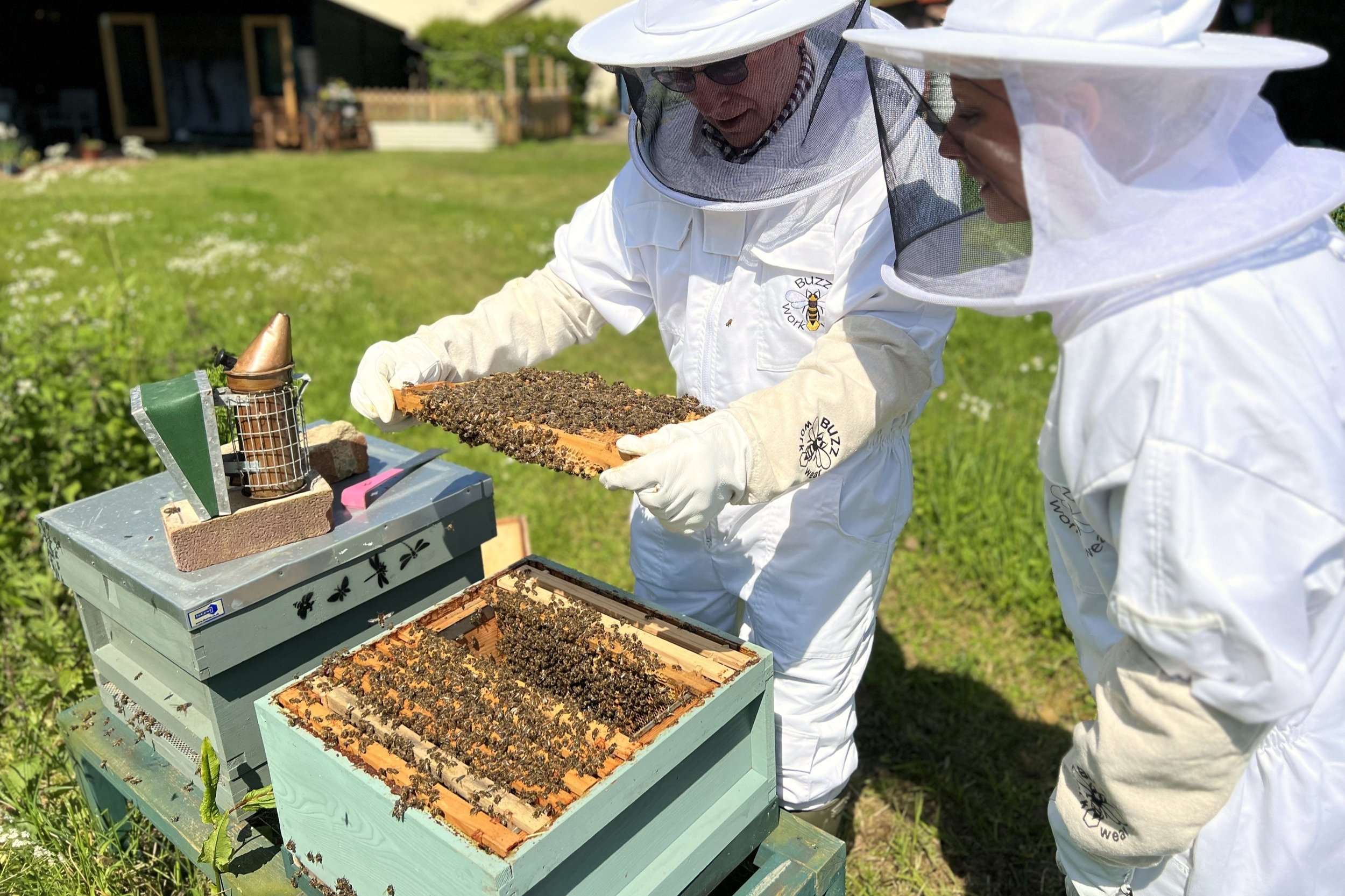 Beginning Beekeeper's Mentorship Bundle, New Beekeepers Lessons