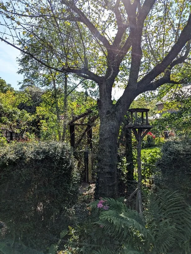 Cobweb Cottage, Sept 2025