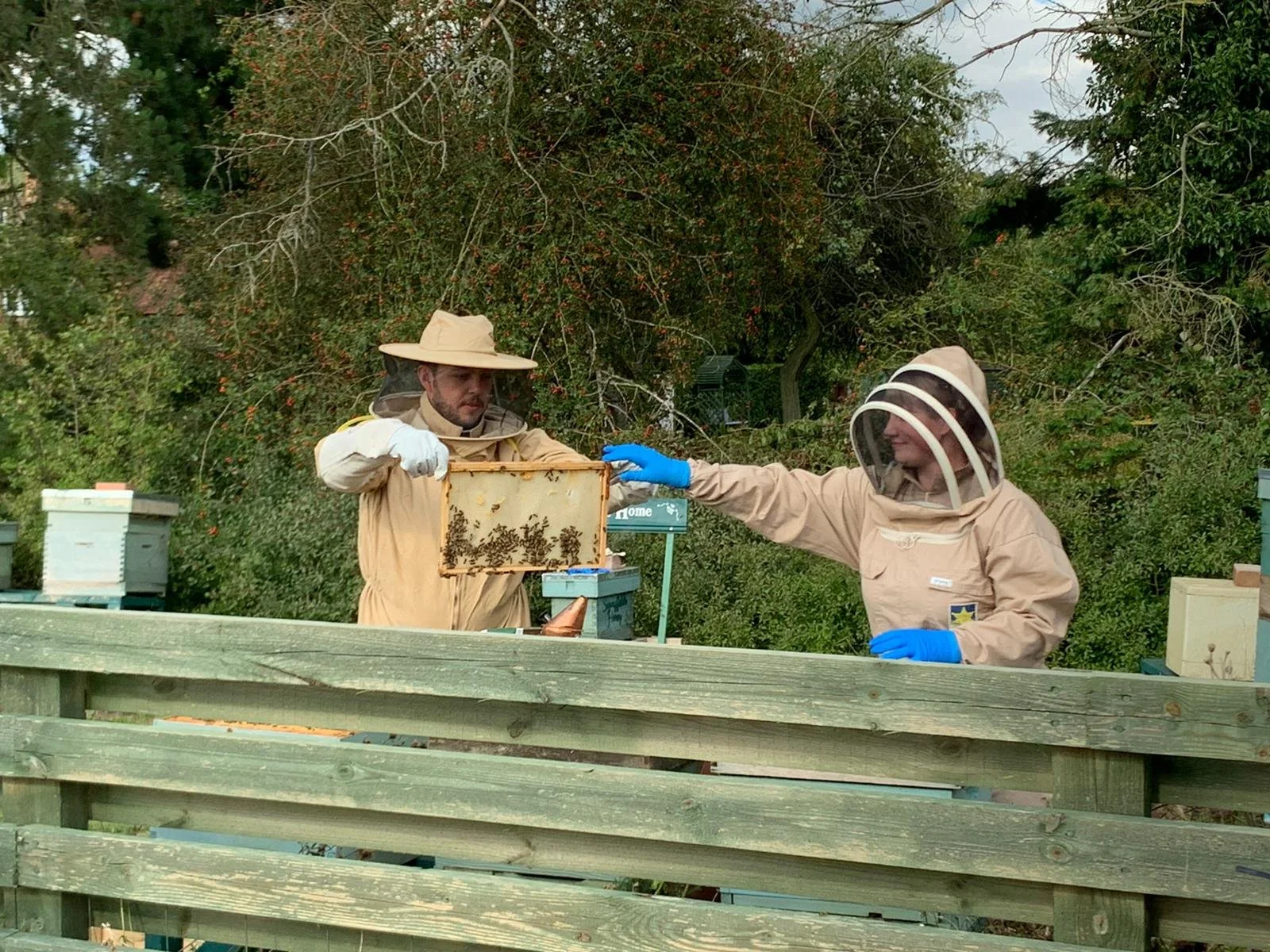 Essex Bees on an Infamous Essex TV Show — Sunnyfields Bees