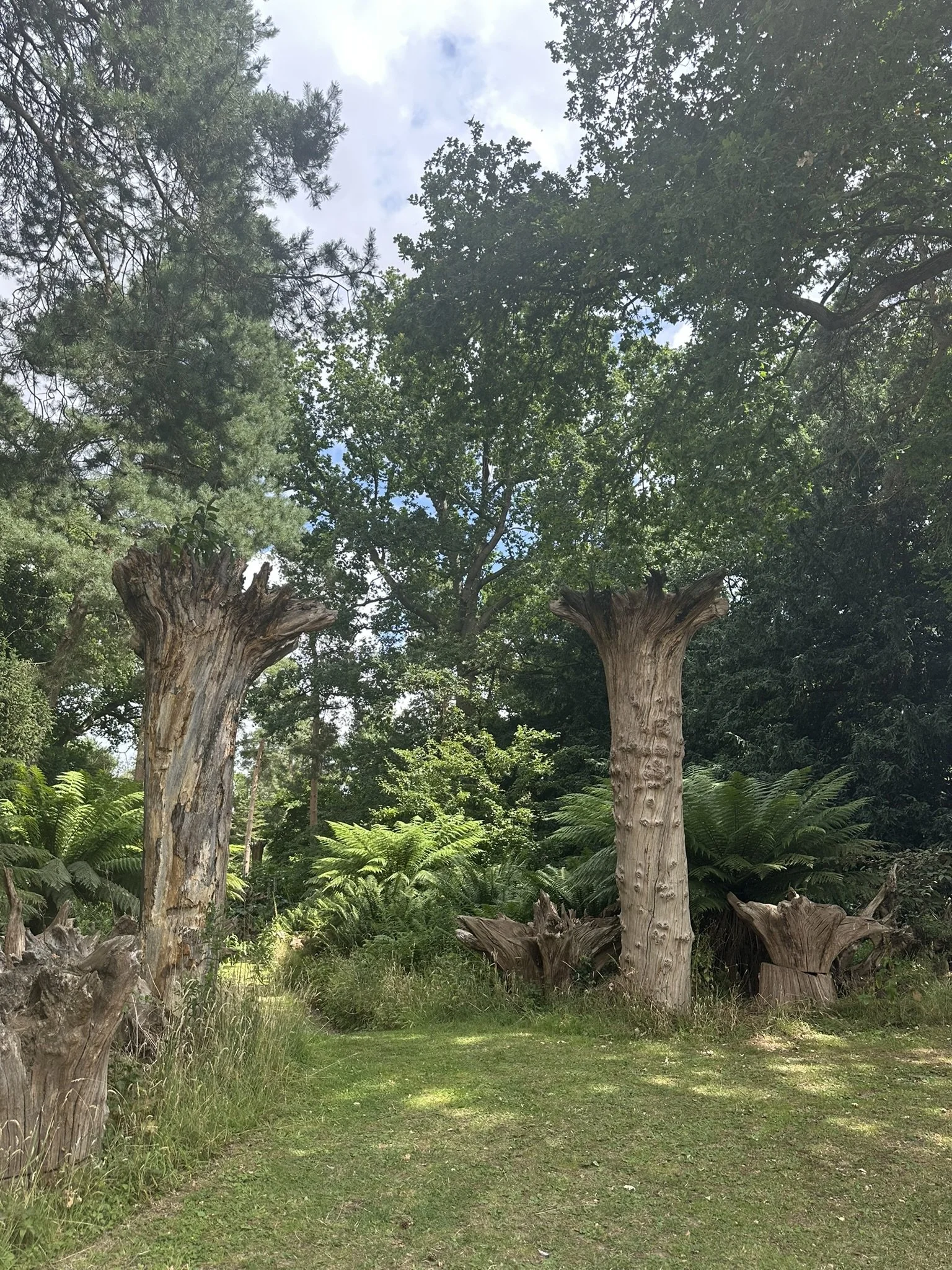 IMG_8758.JPEG