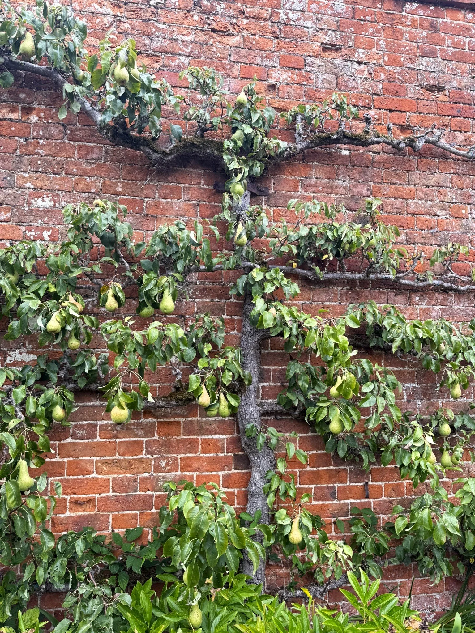 IMG_0101.JPEG