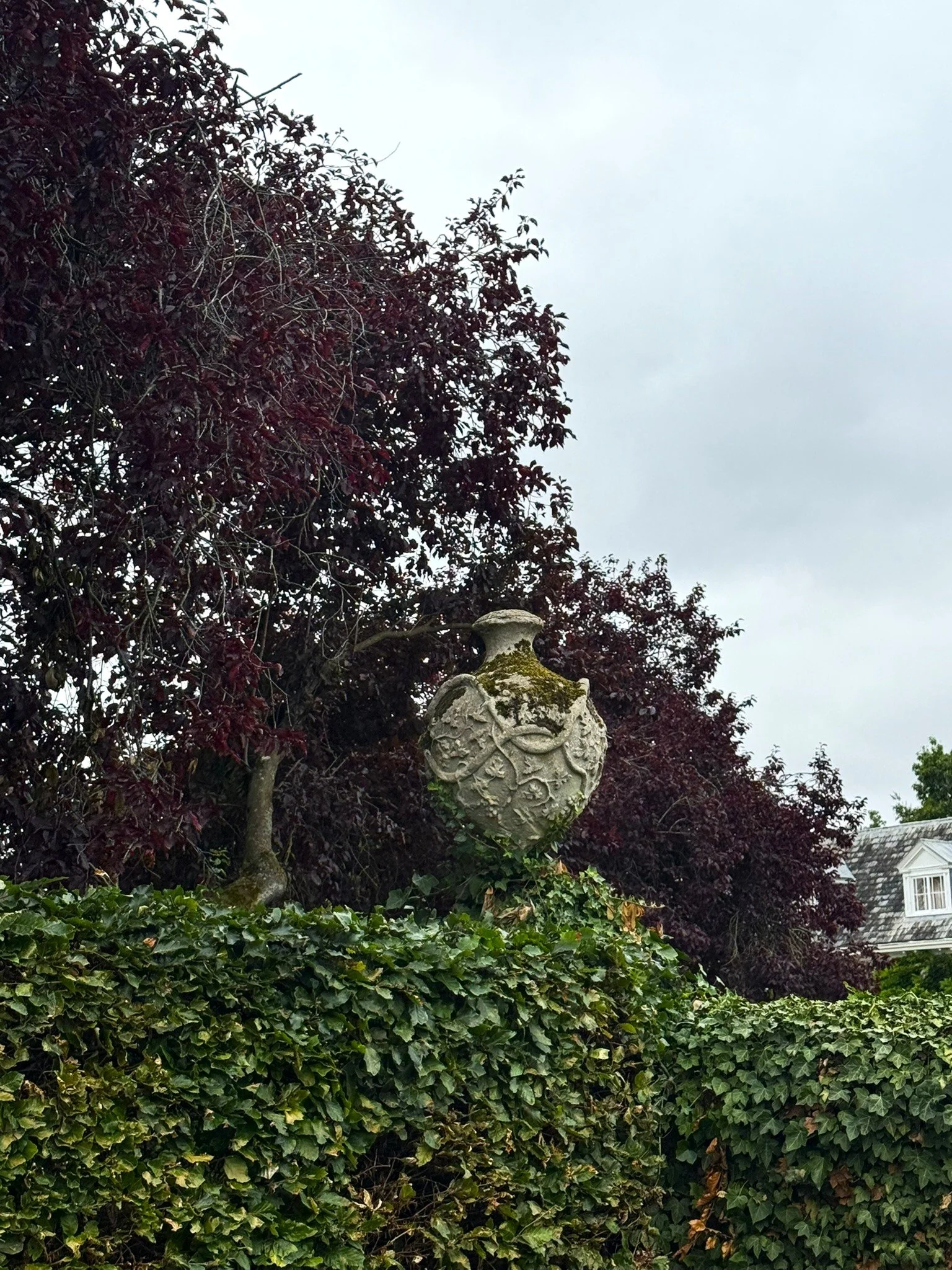 IMG_0113.JPEG