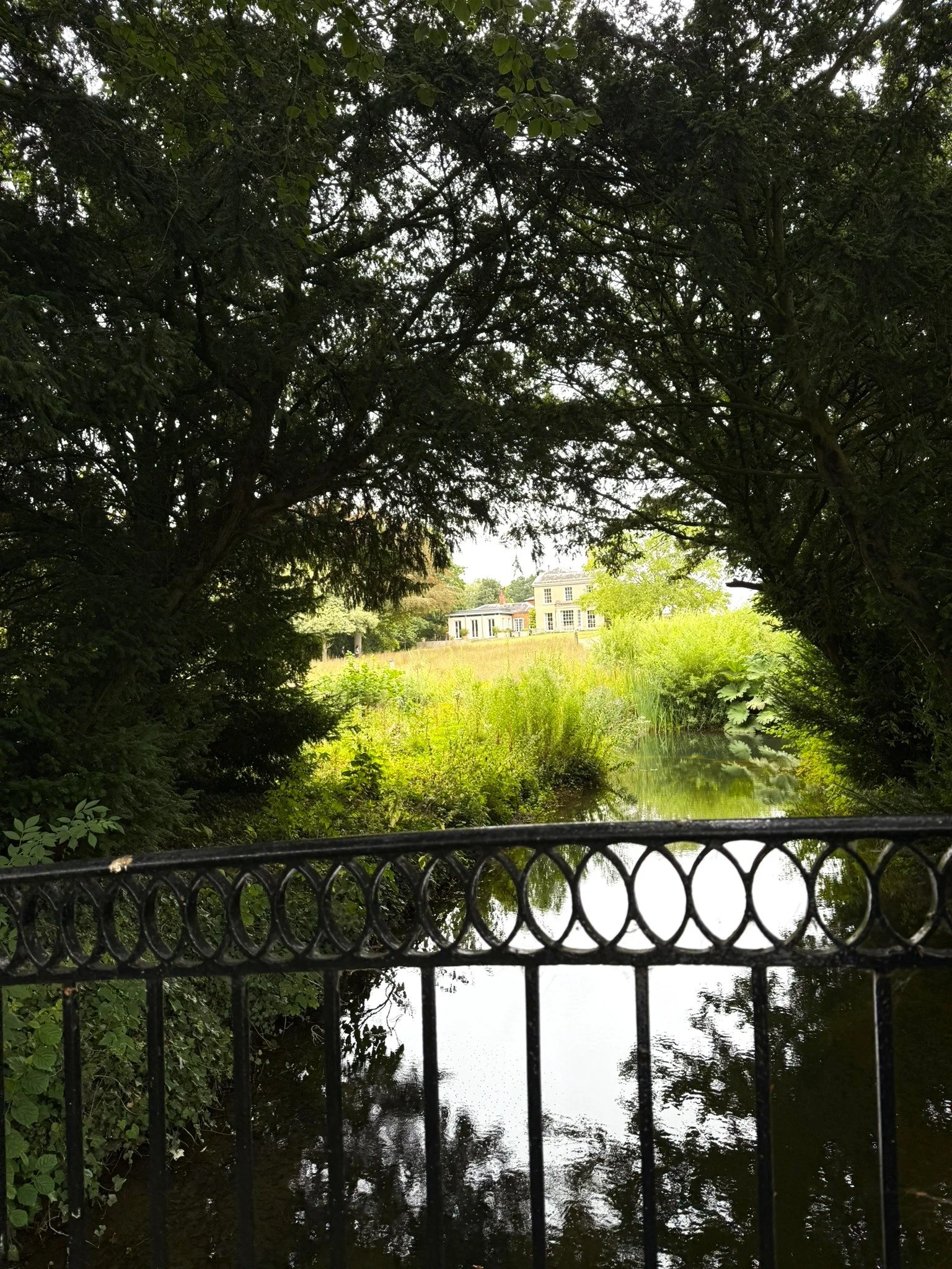 IMG_0125.JPEG