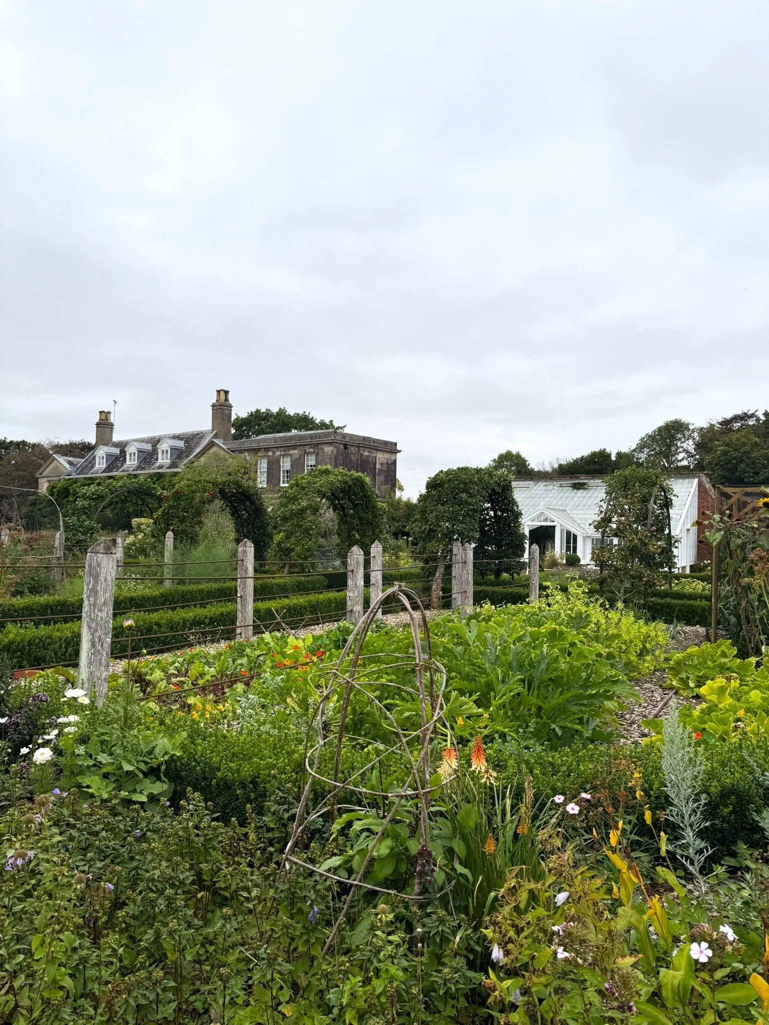IMG_0141.JPEG