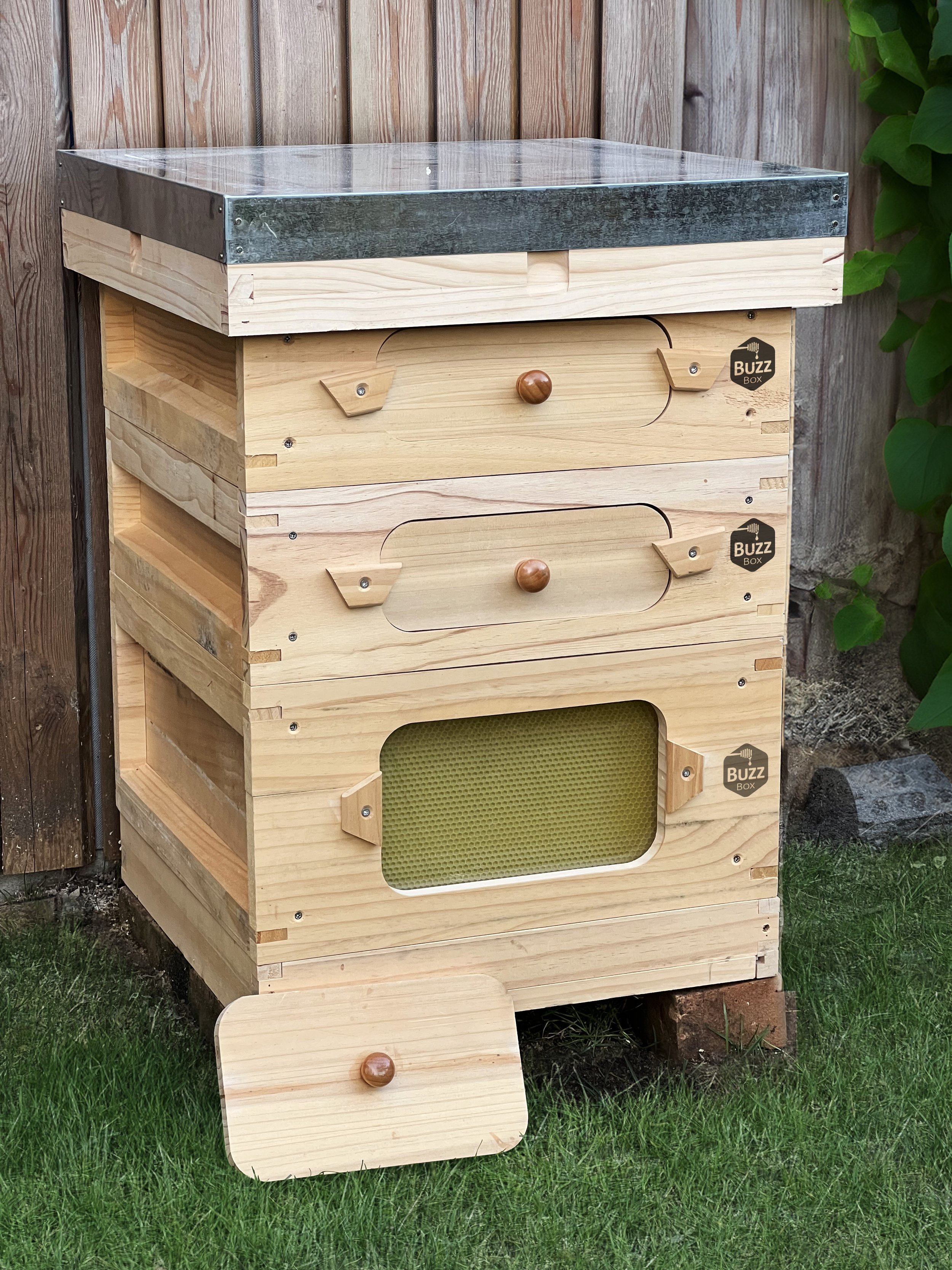 Buzz Box - Beekeeping Starter Pack - Hive 06.jpg