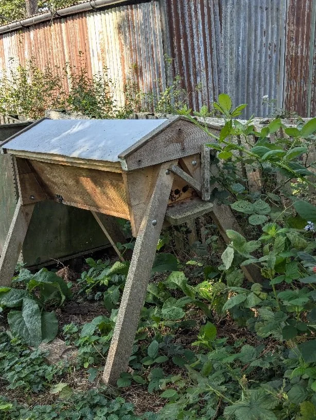 Cobweb Cottage, Sept 2025