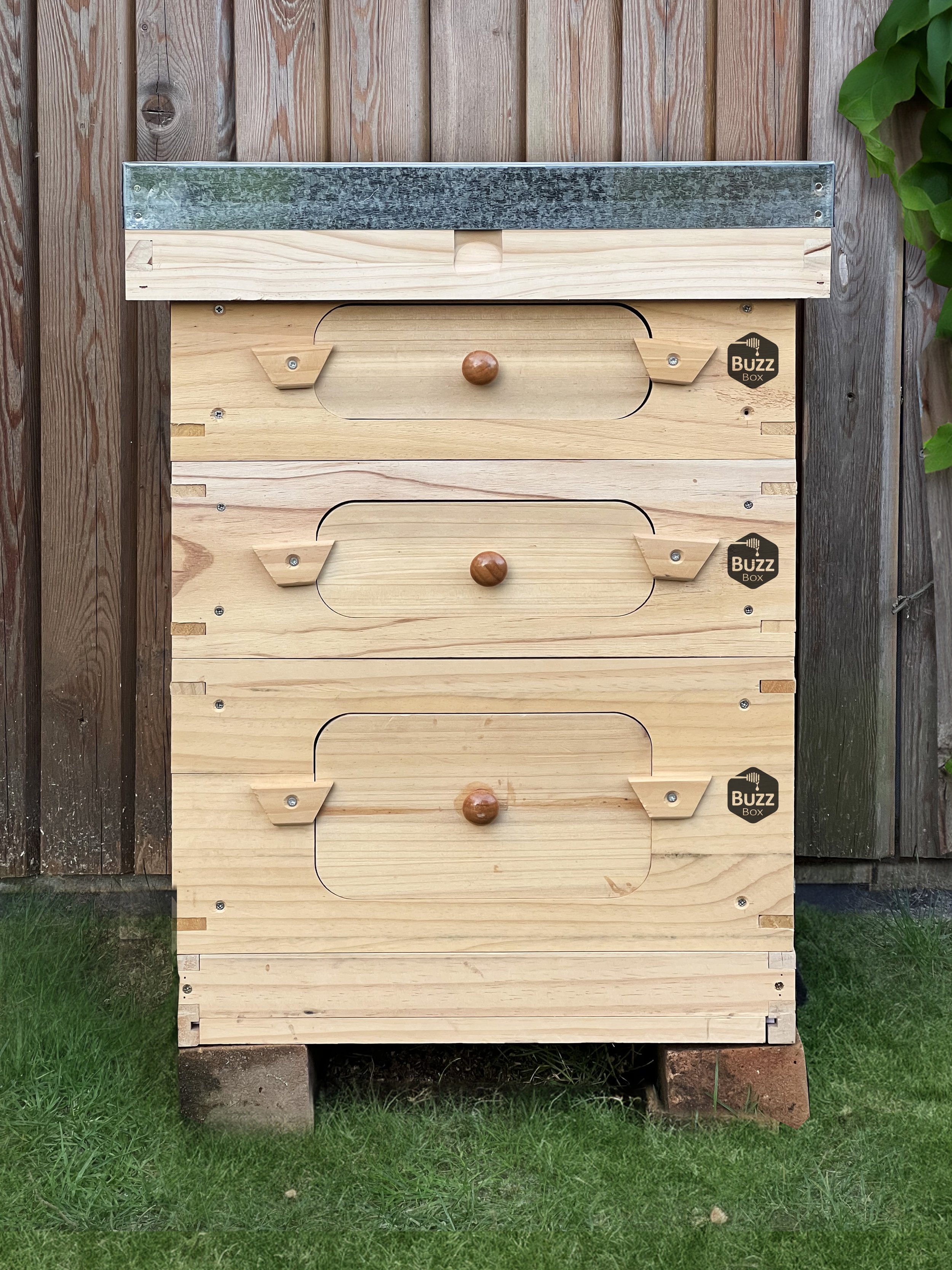 Buzz Box - Beekeeping Starter Pack - Hive 05.jpg